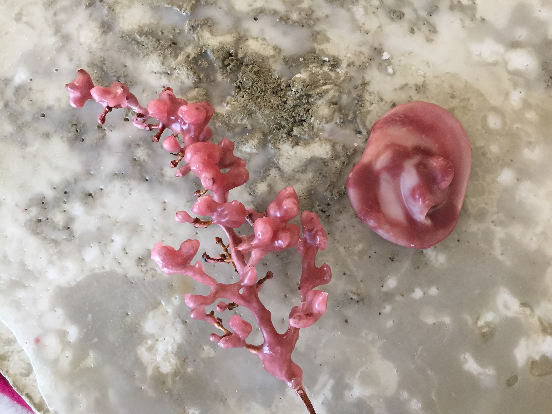 waxed sculptures as part of installation