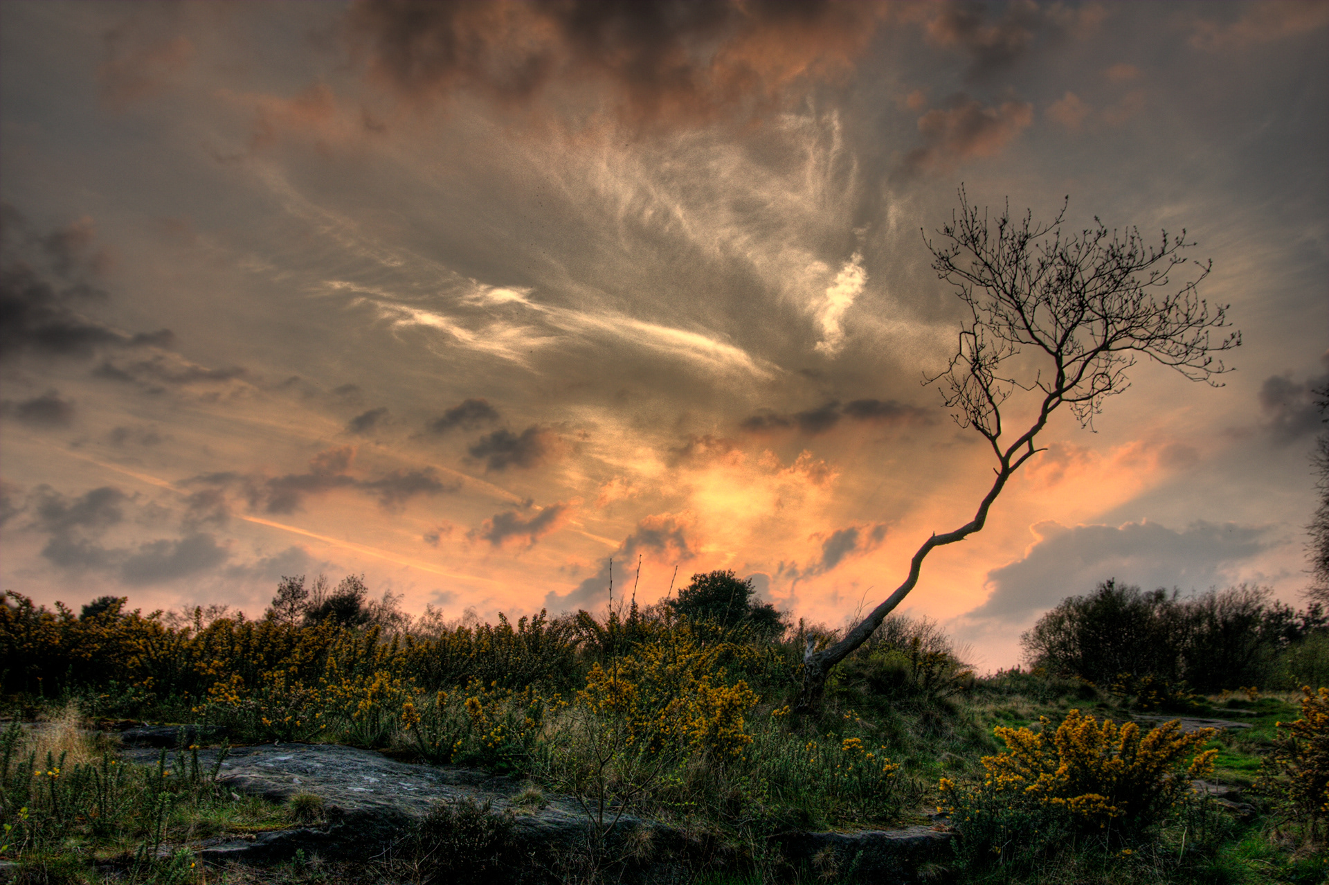 Bidston Hill