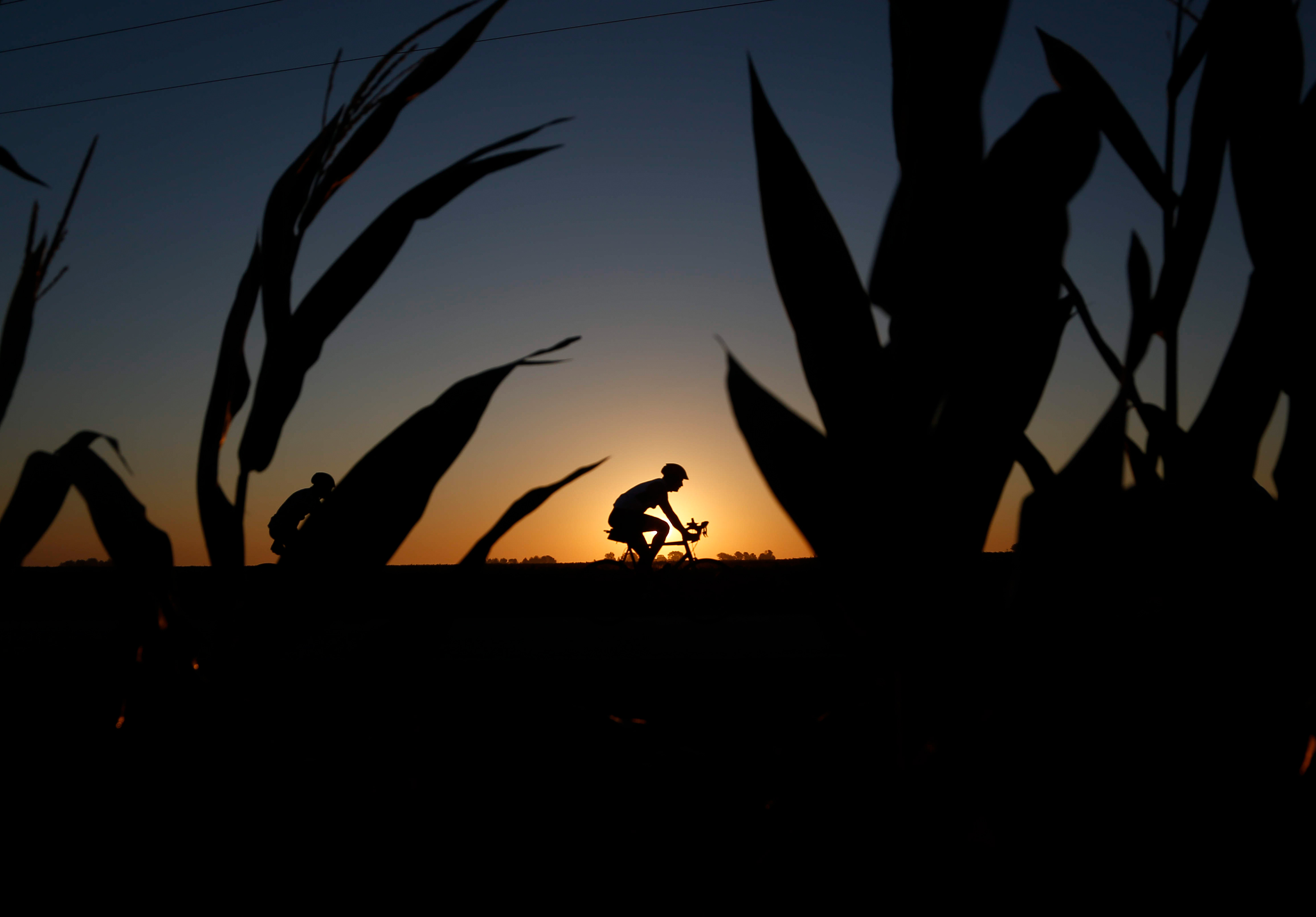 Cyclists make their way along the route as the sun rises outside of Iowa City during RAGBRAI on Saturday, July 29, 2023.