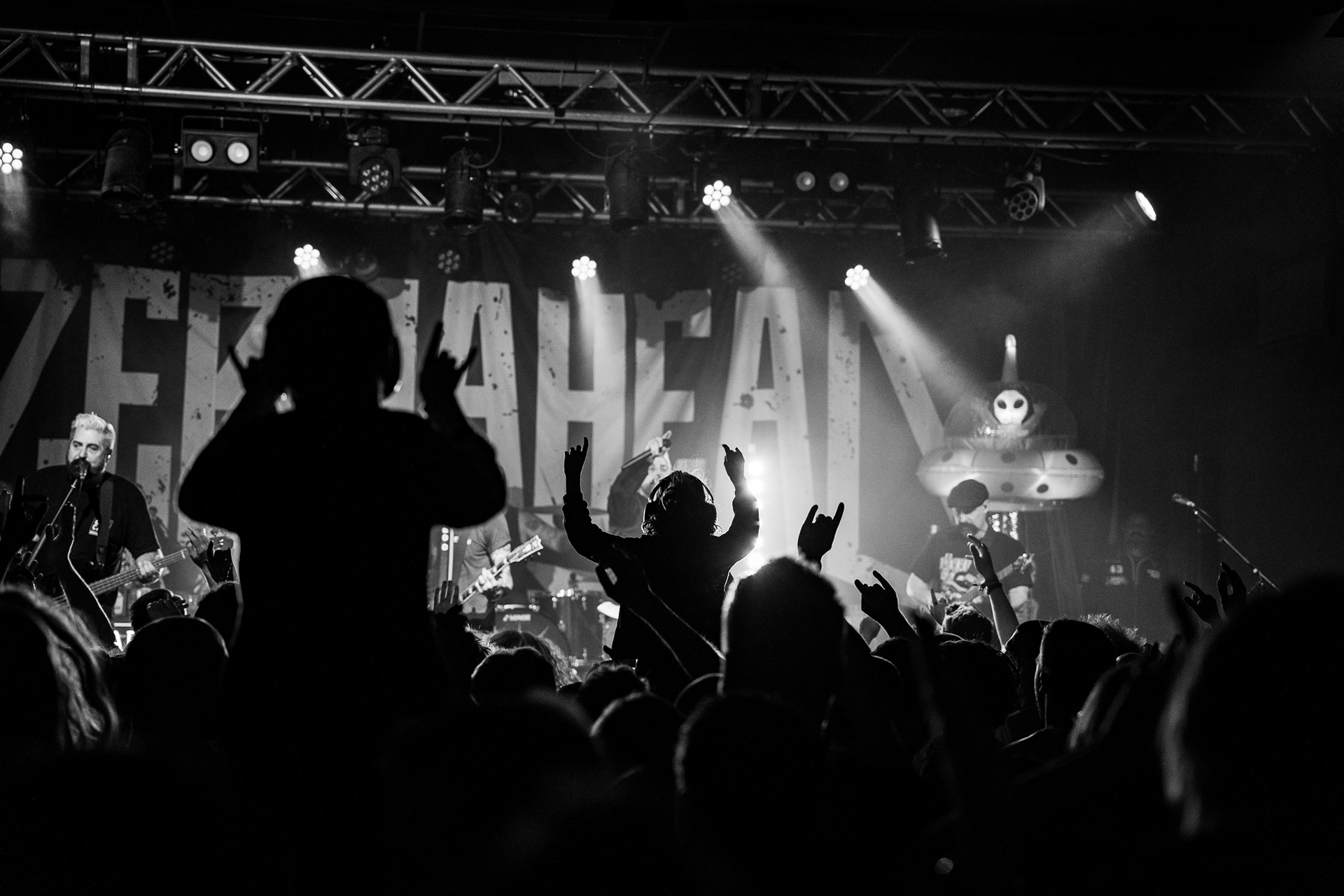 ZEBRAHEAD