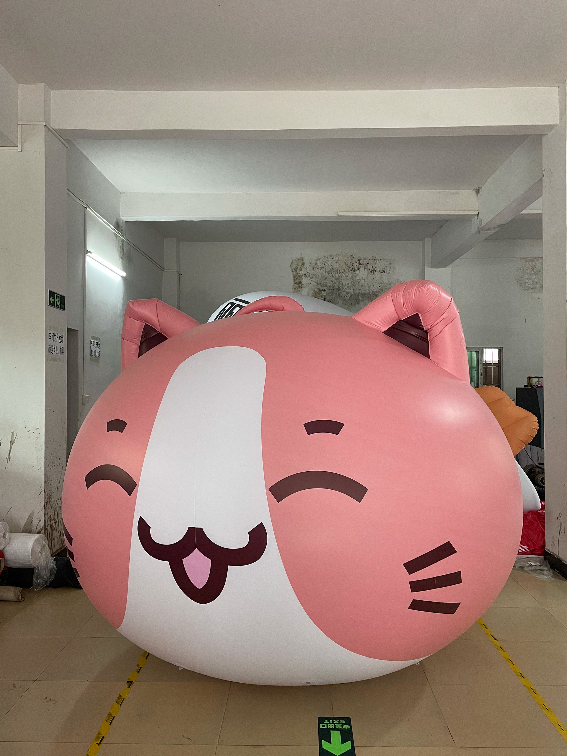 ballon géant de BUDJI