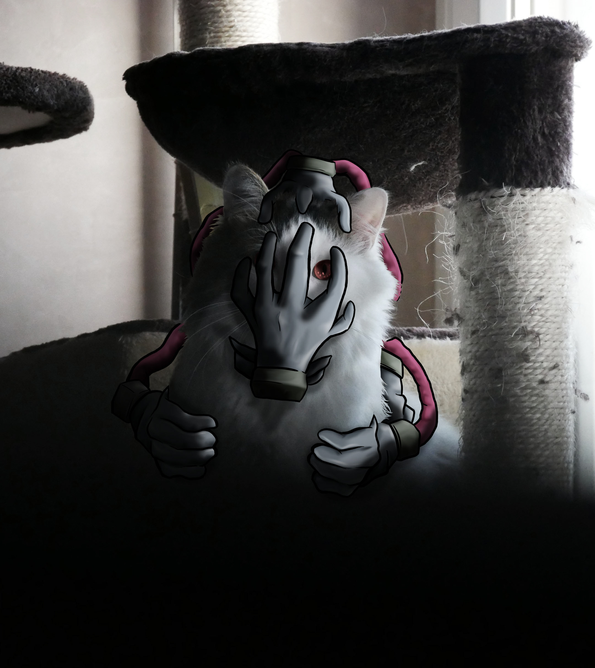 Baloo as TOMURA