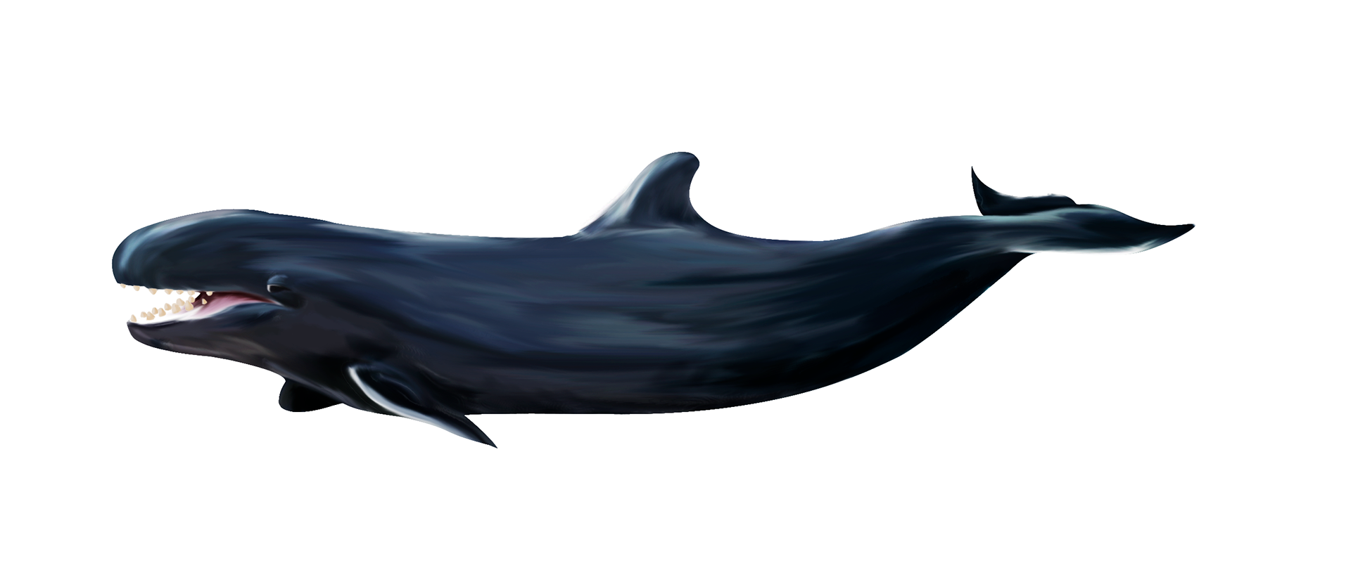 pseudorque