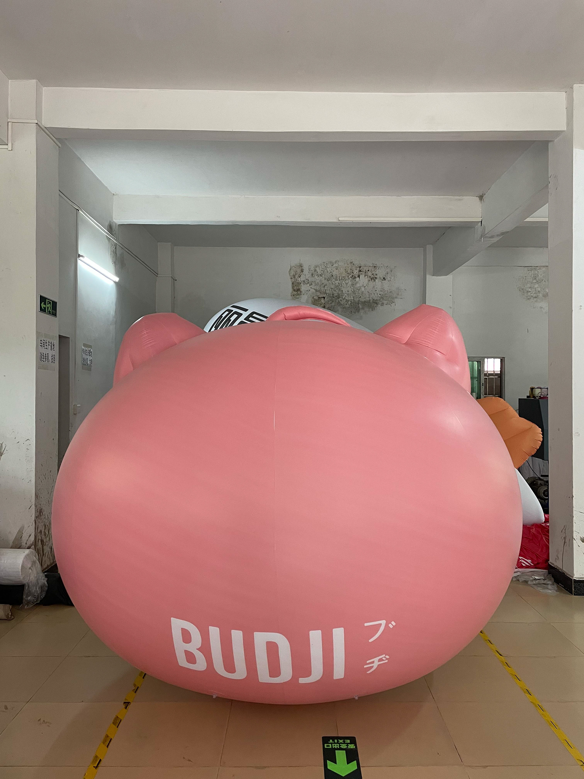 ballon géant de BUDJI