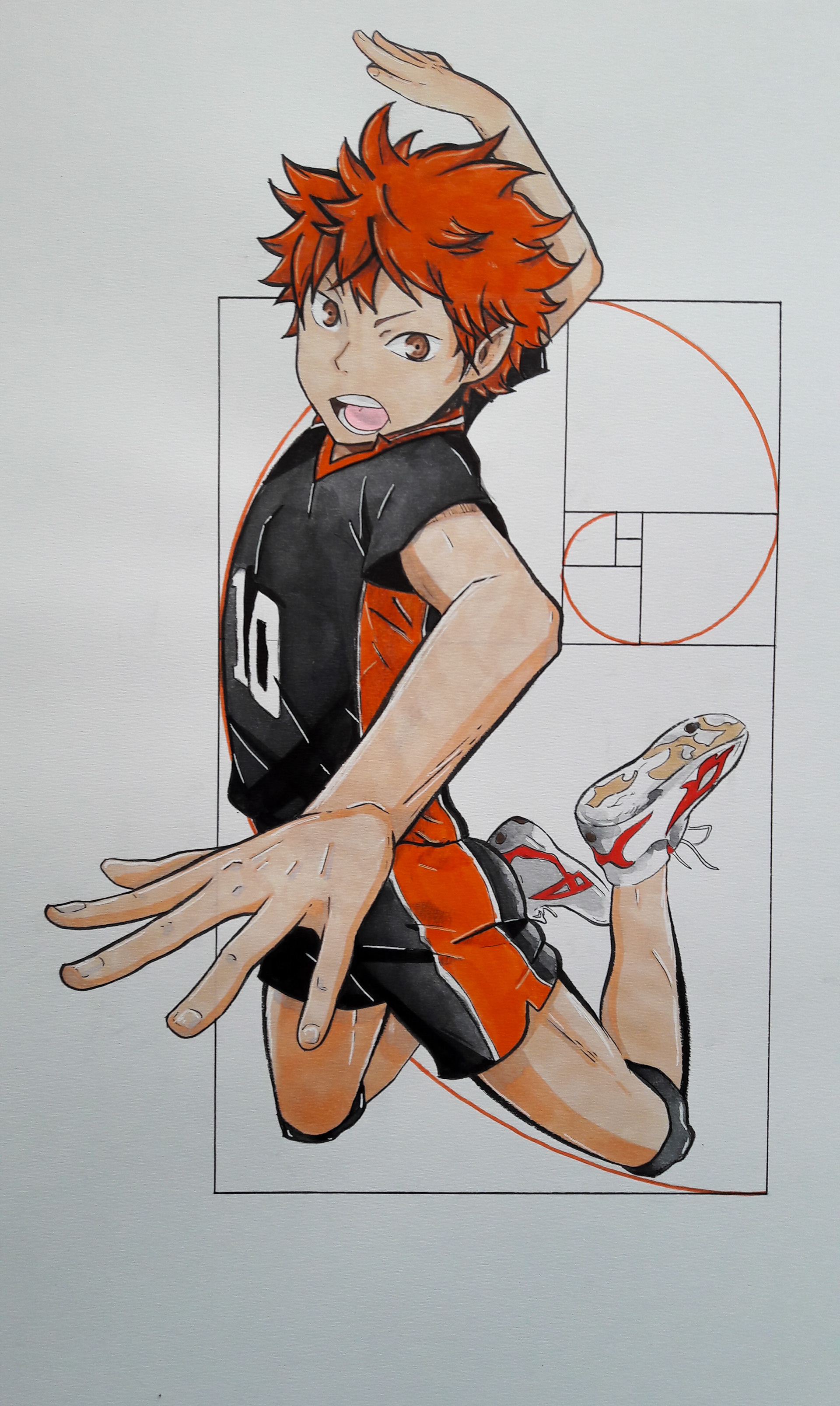 COMMANDE — Shoyo Hinata