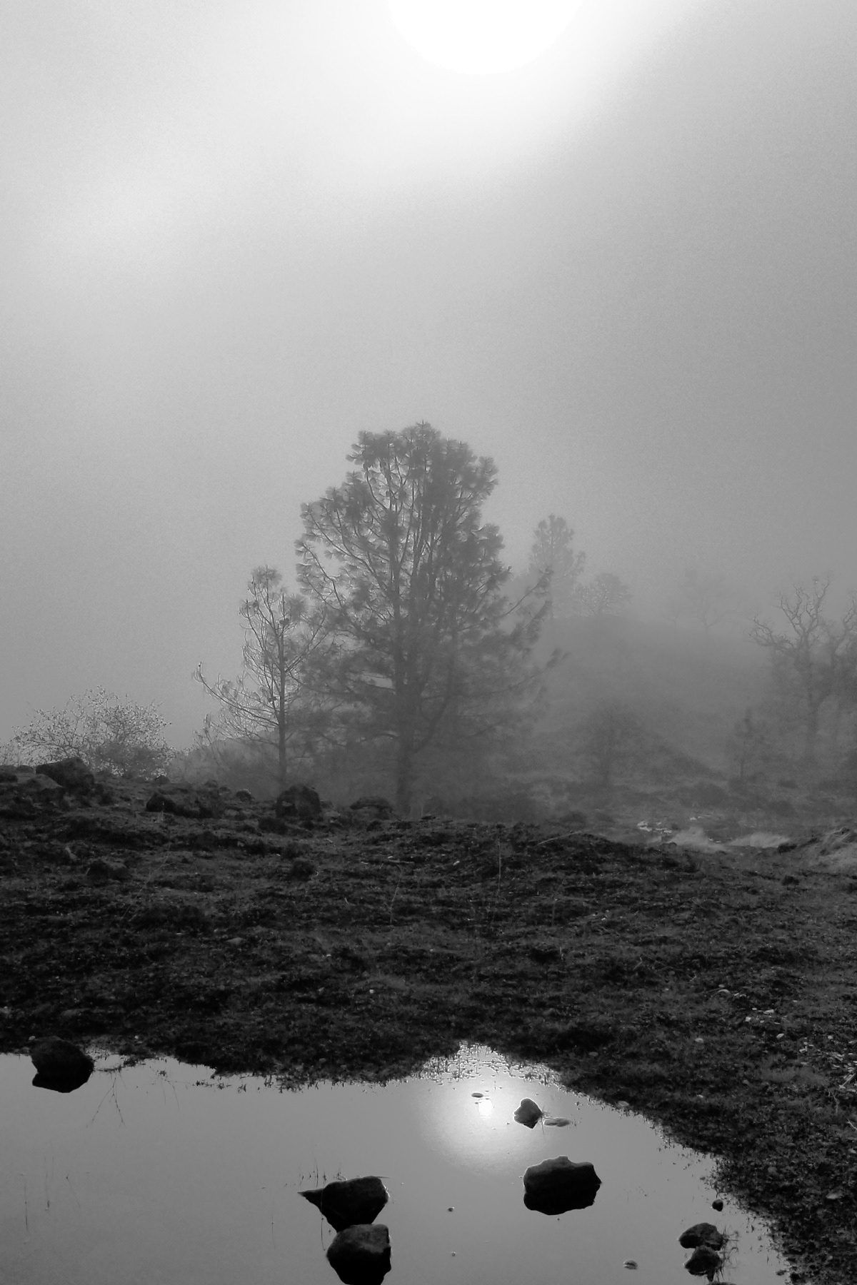 Stephen Gerteisen, Upper Bidwell, CA2025