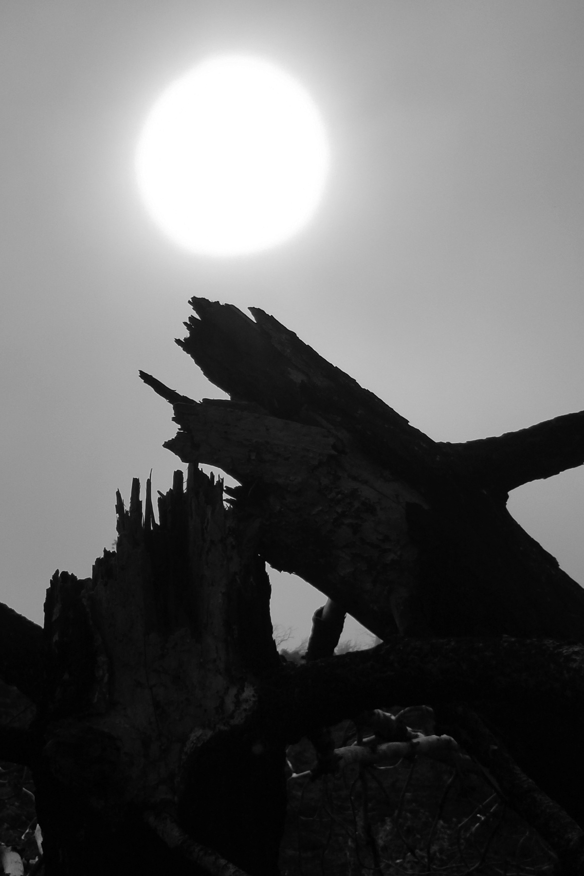 Stephen Gerteisen, Upper Bidwell, CA2025
