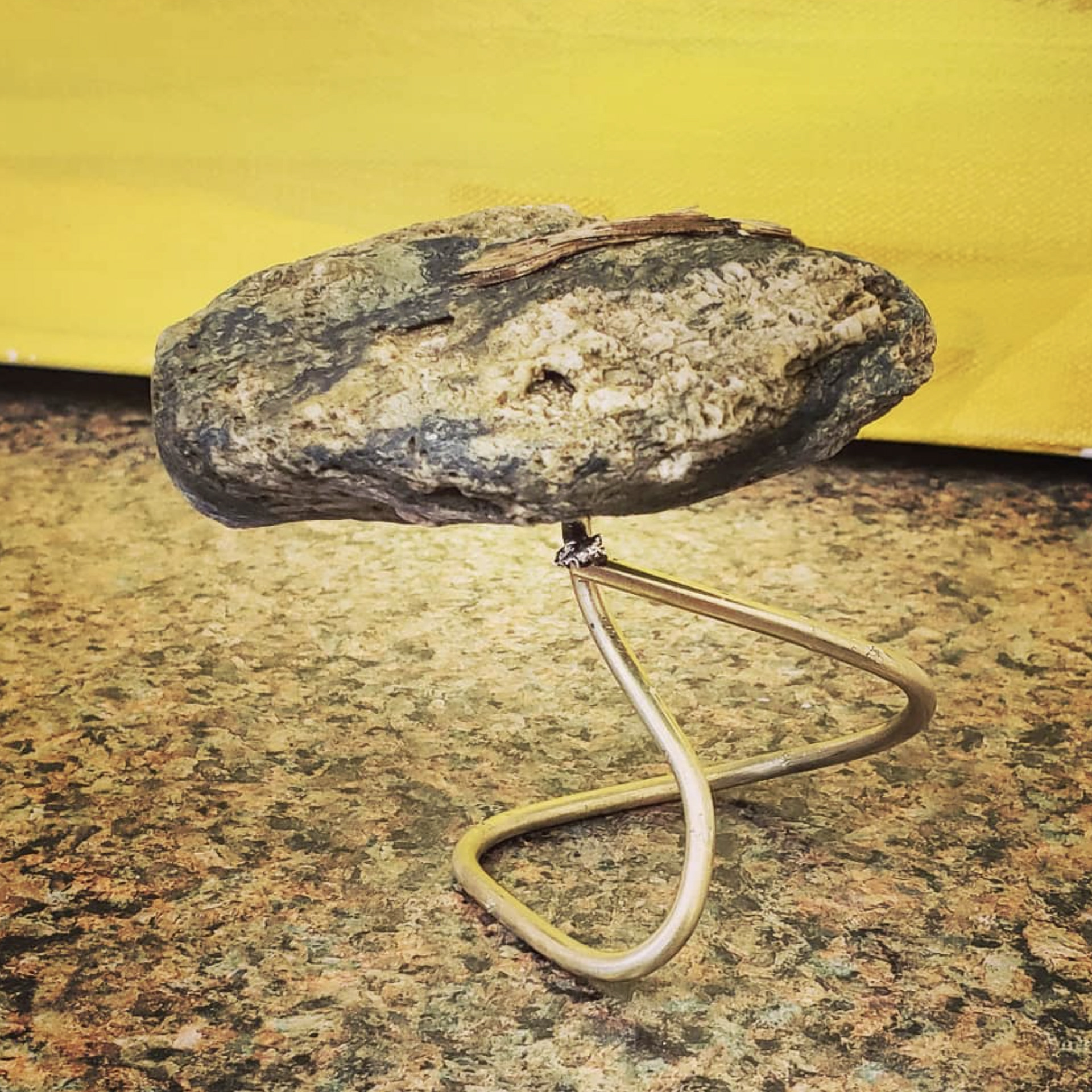 One Rock, 2021