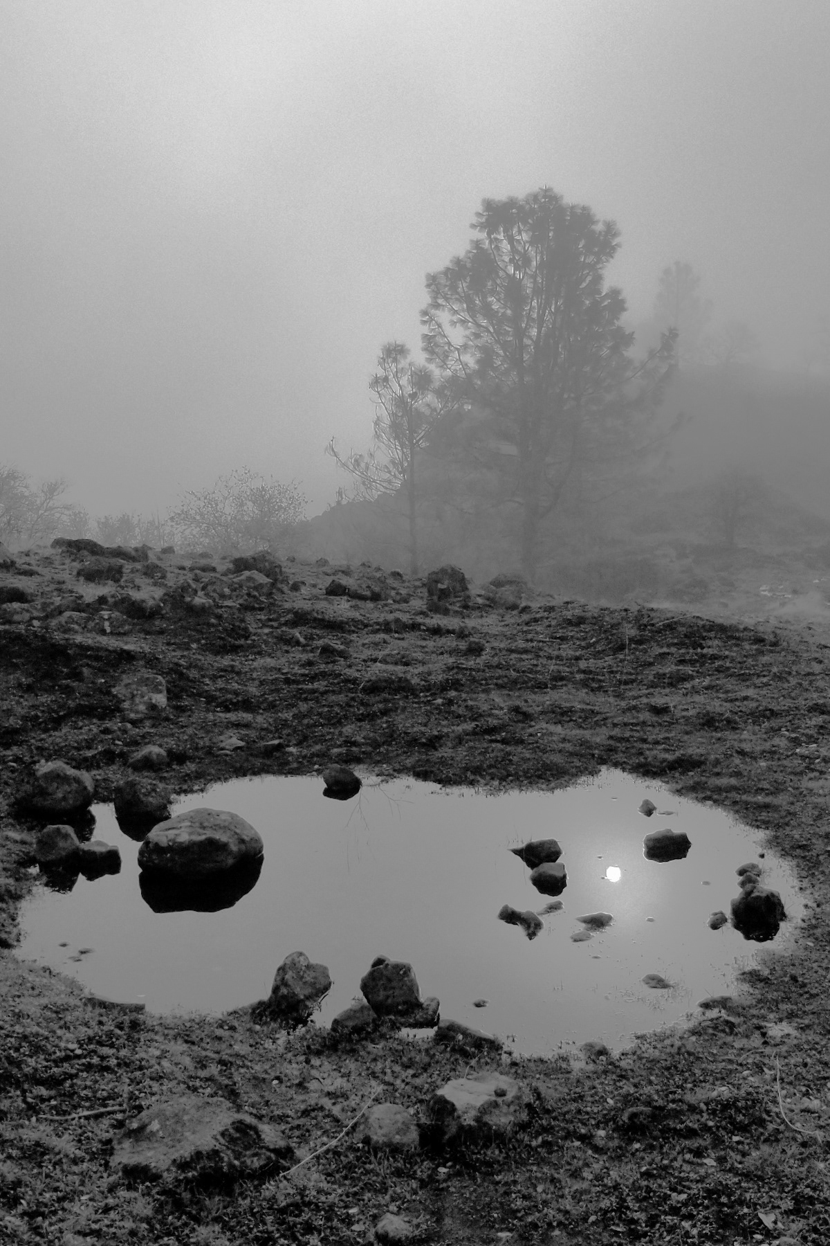Stephen Gerteisen, Upper Bidwell, CA 2025