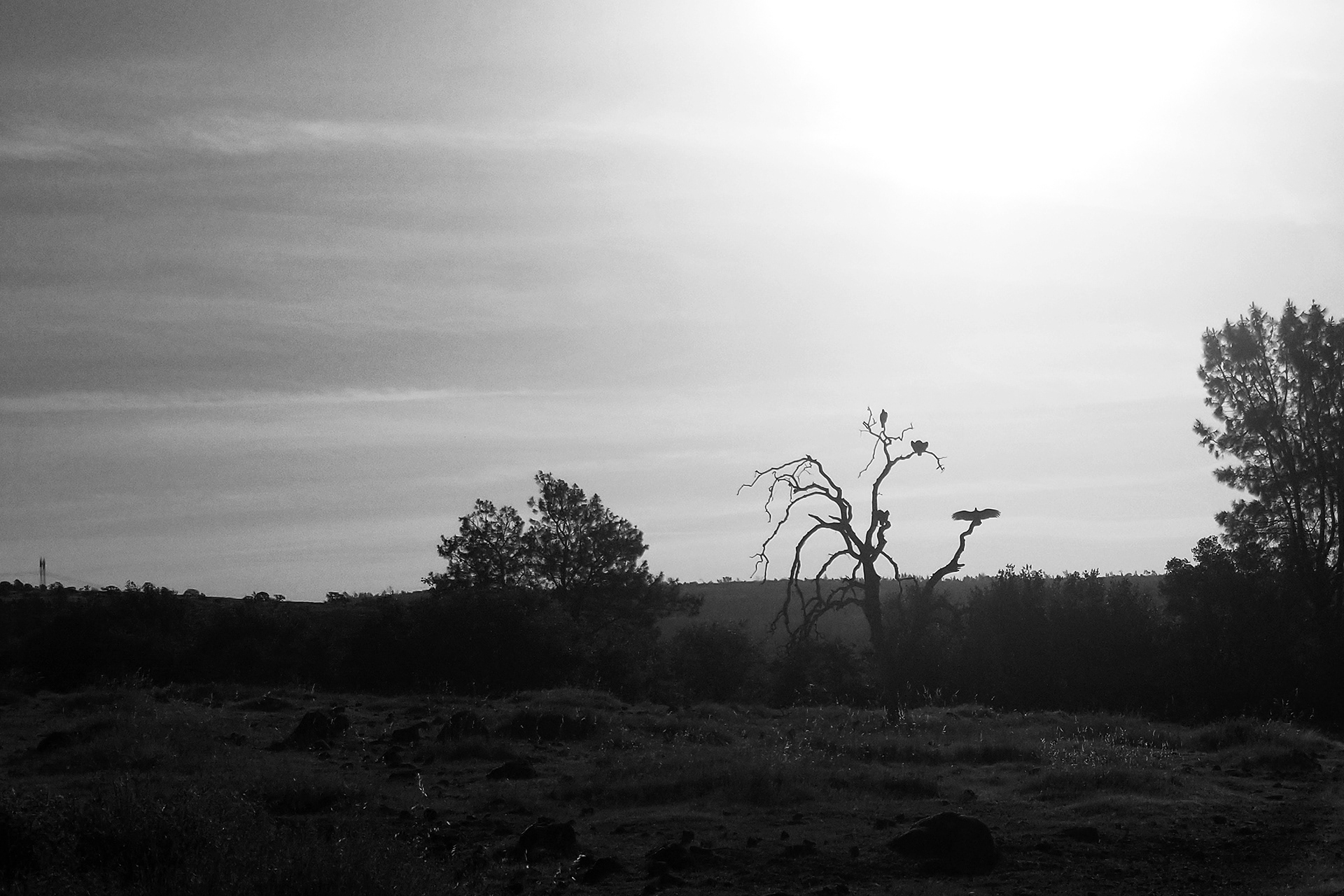 Stephen Gerteisen. Upper Bidwell, 2022