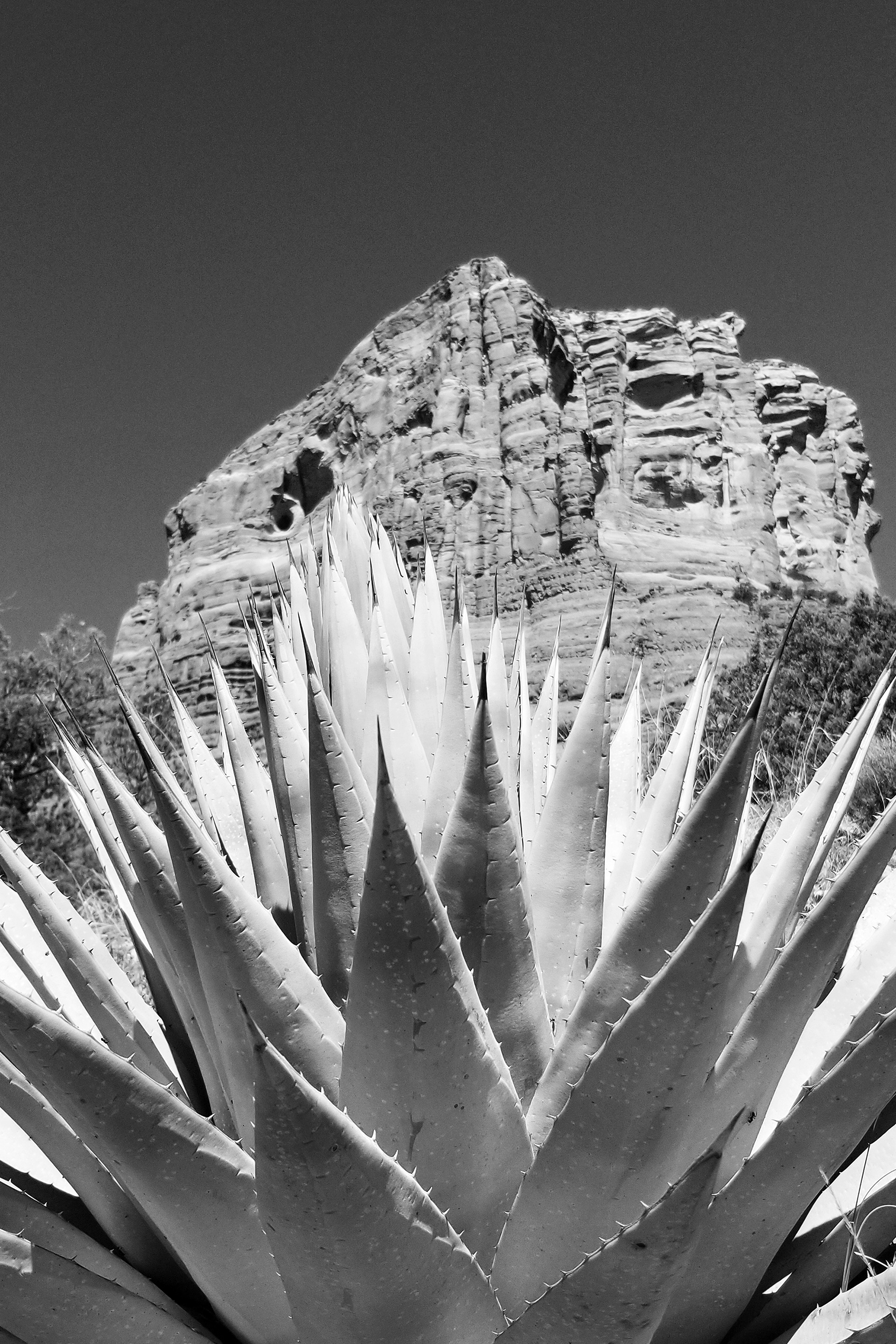 Stephen Gerteisen. Sedona, 2022