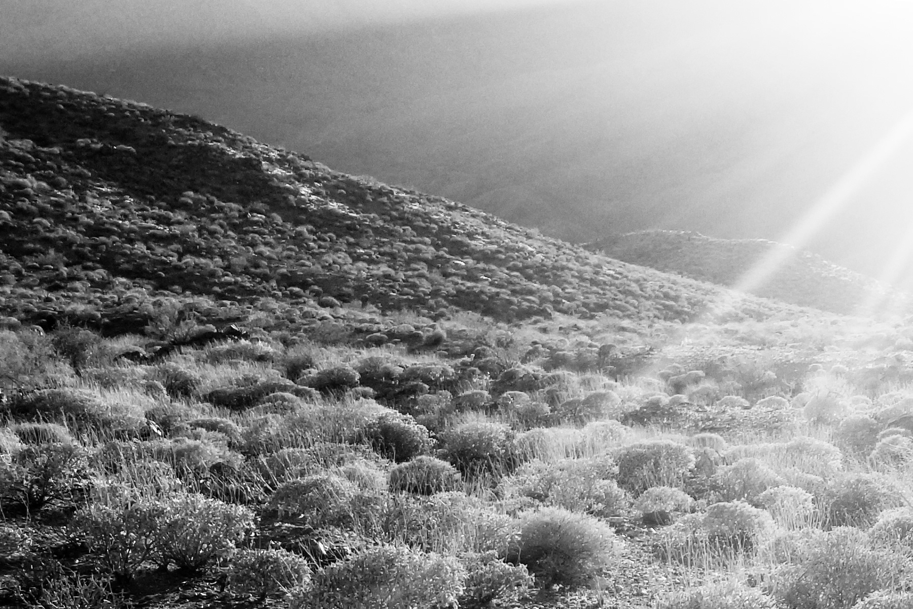 Stephen Gerteisen, Palm Springs, CA 2025