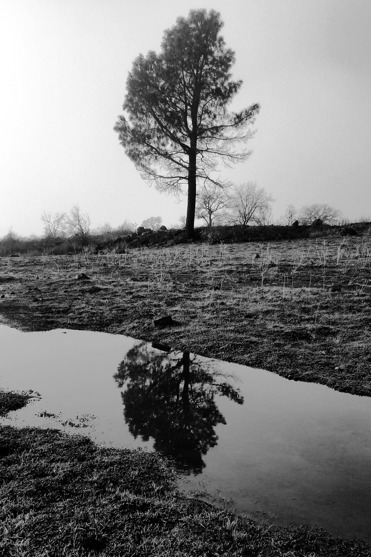 Stephen Gerteisen, Upper Bidwell, CA 2025
