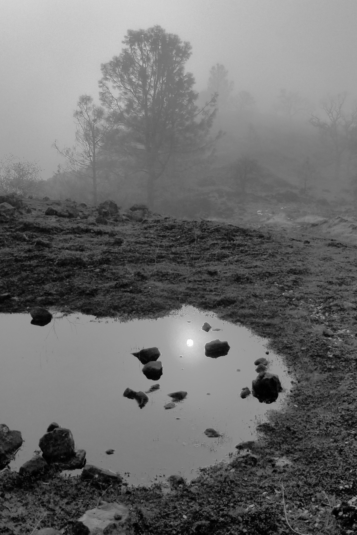 Stephen Gerteisen, Upper Bidwell, CA 2025