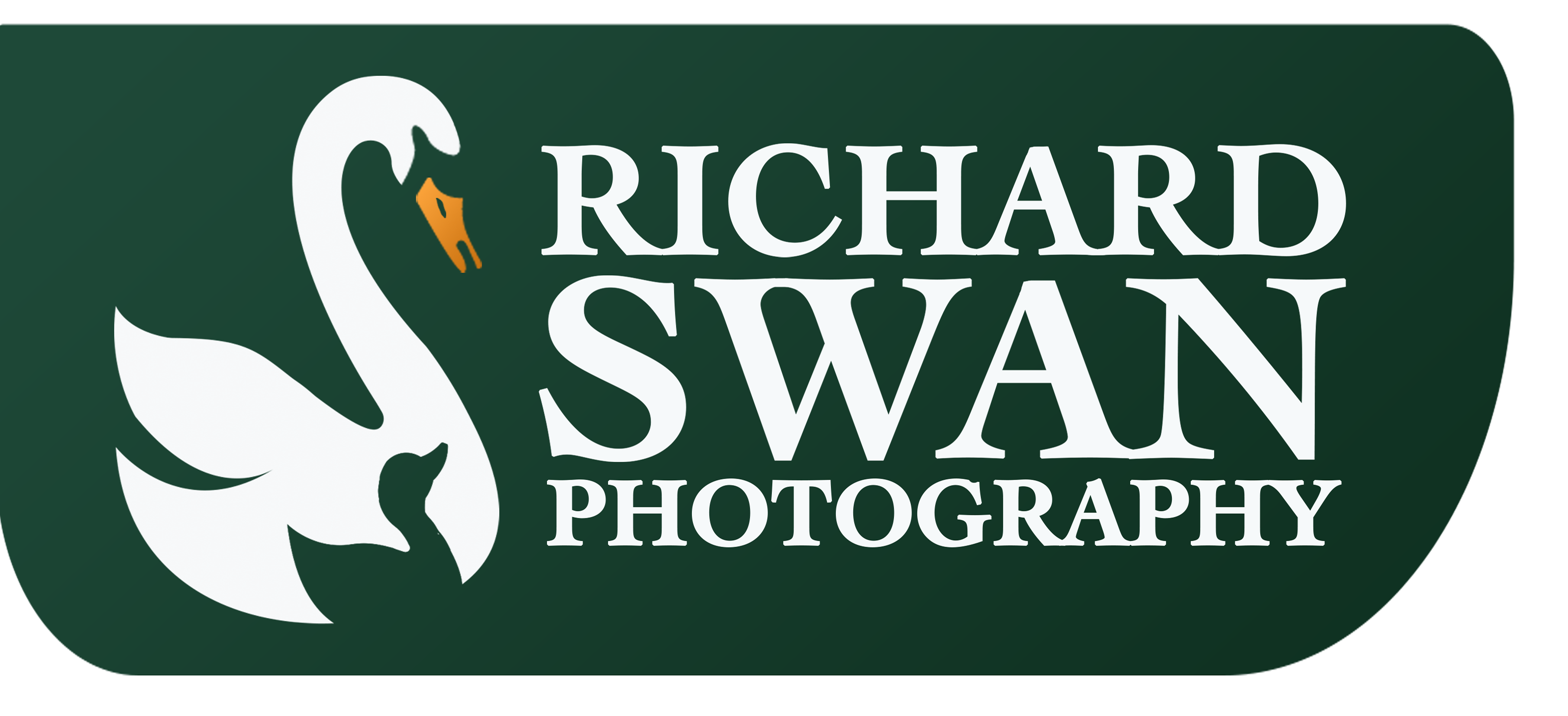 Richard Swan