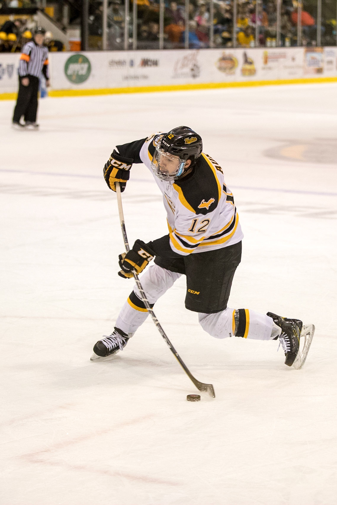 during Saturday night's game at the John MacInnes Student Ice Arena in Houghton Michigan.