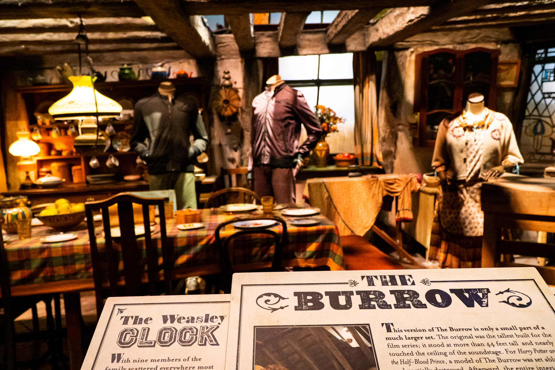 The burrow