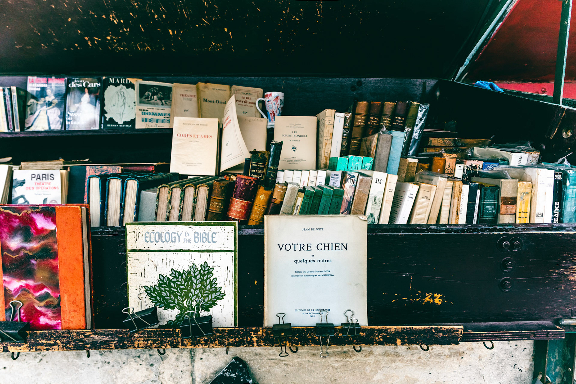 The bookstore