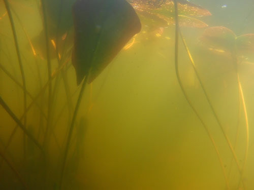 Foto: © Jette Held