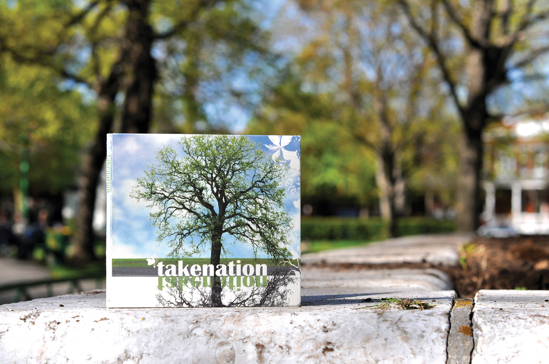 A photo alum wiht a tree cover on a rock
