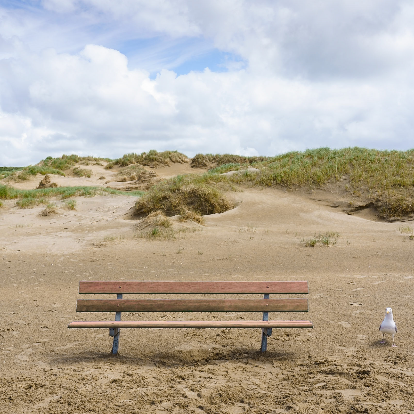 Zuid Kennemerland