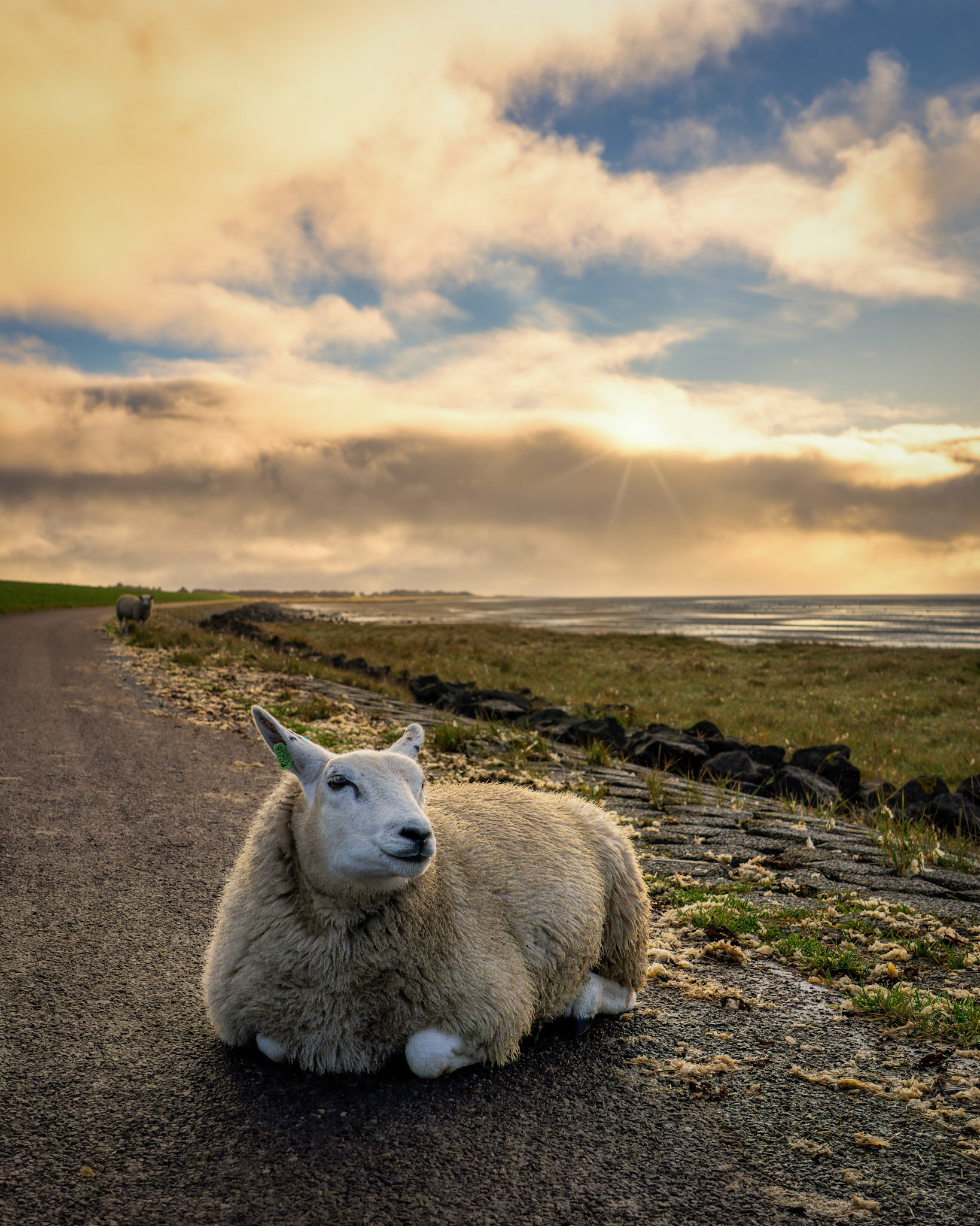 Oosterend - Terschelling