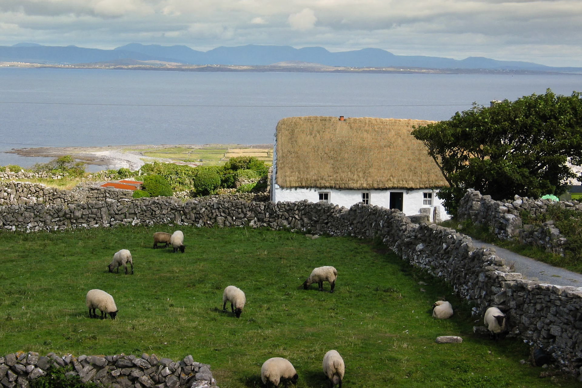 Aran Islands (inishmore)