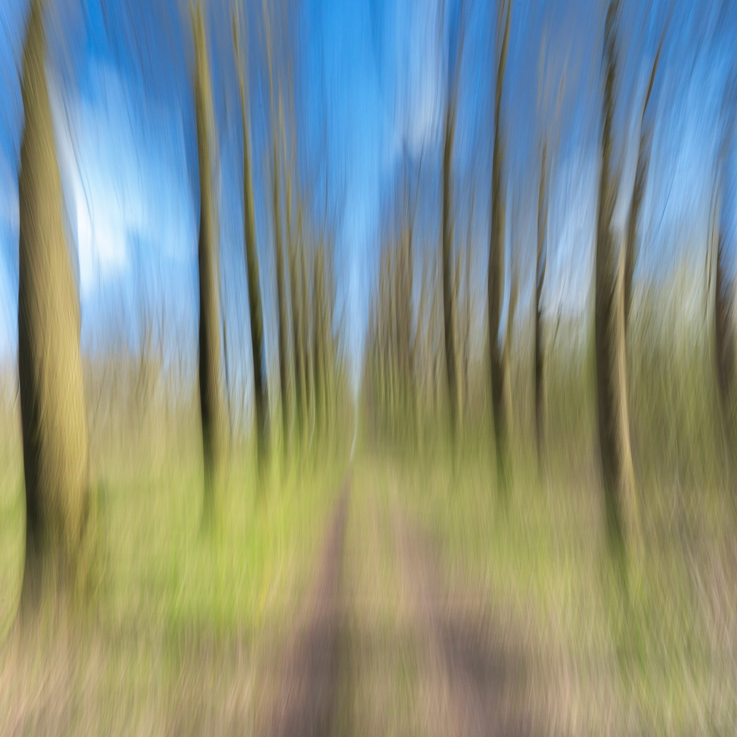 Leersum, The Netherlands - 2023.