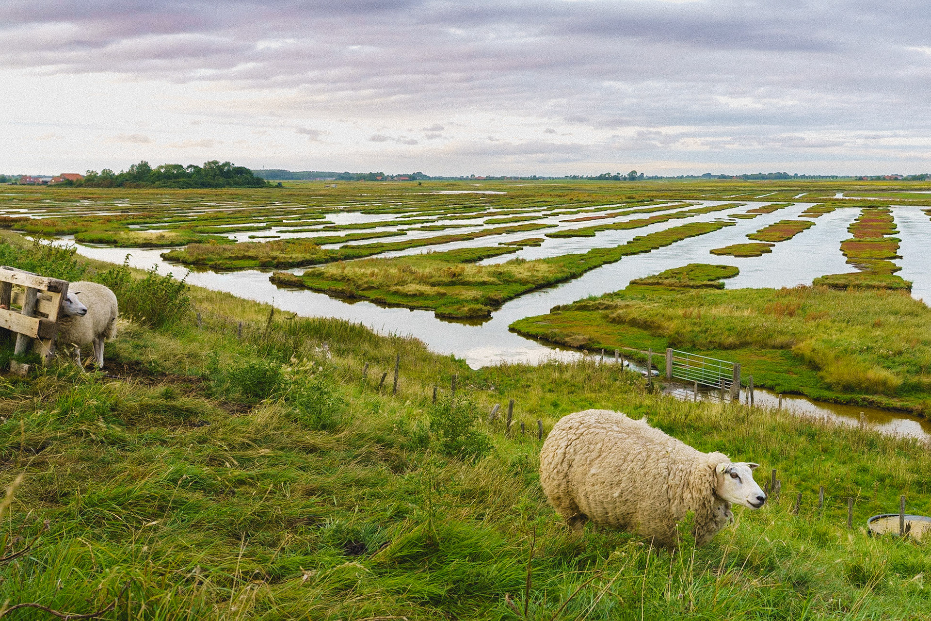 Zierikzee - Schouwen Duiveland