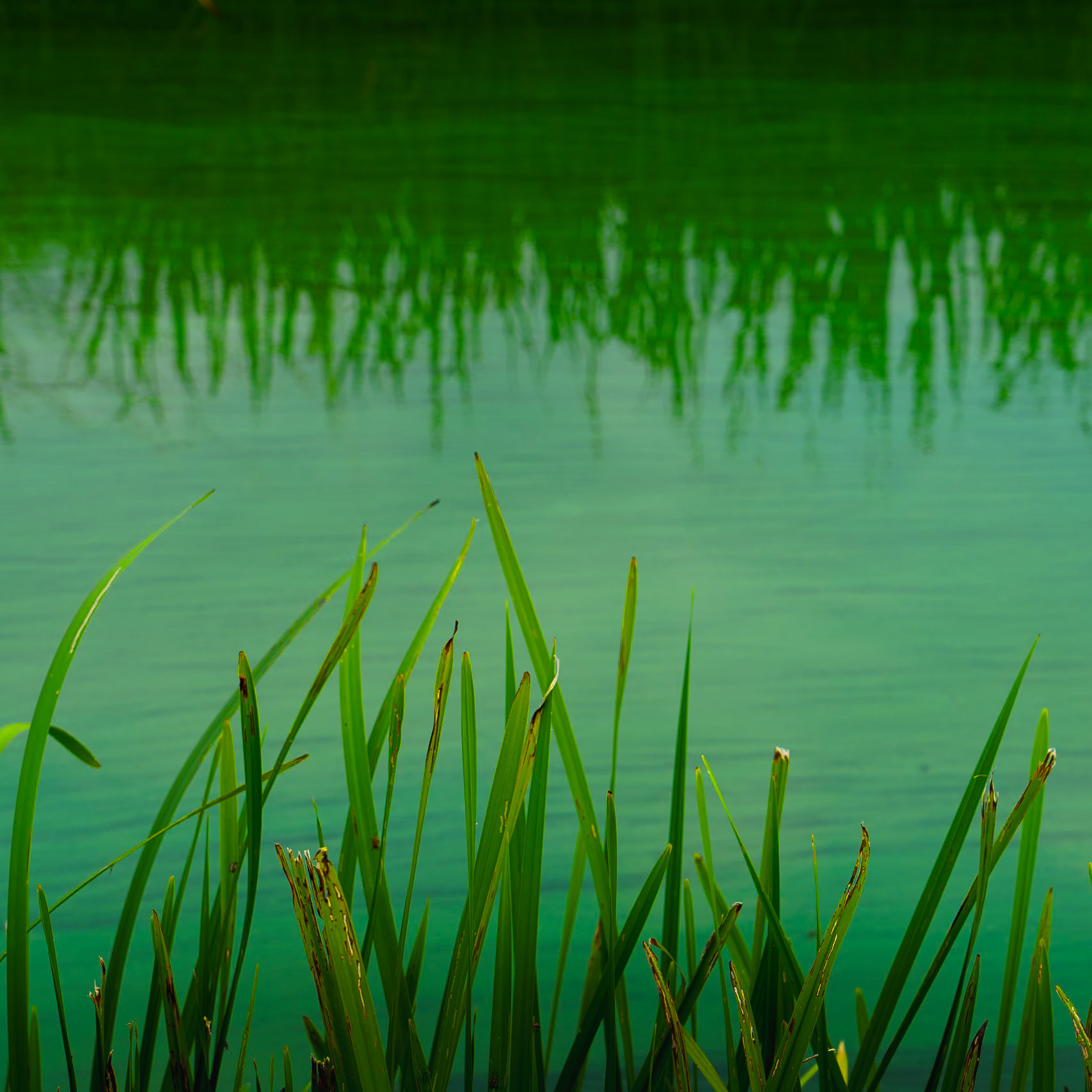 Polder Arkemheem, The Netherlands