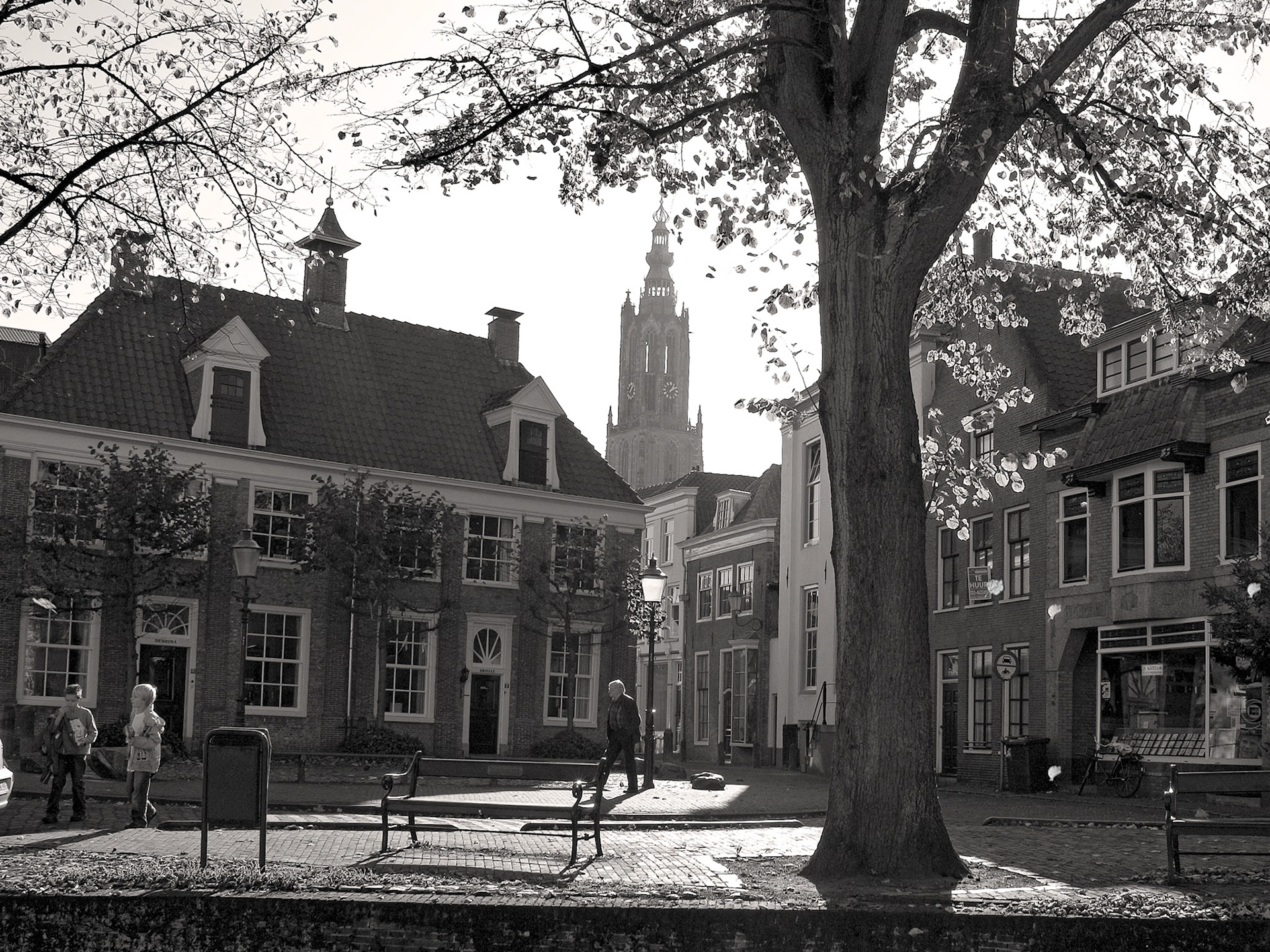 Havik, Amersfoort
