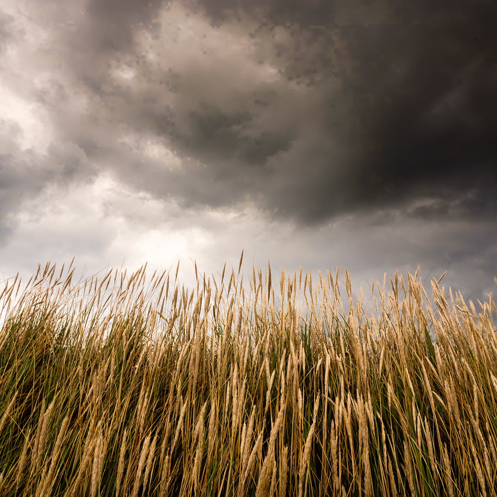 Jutland, Denmark - 2023