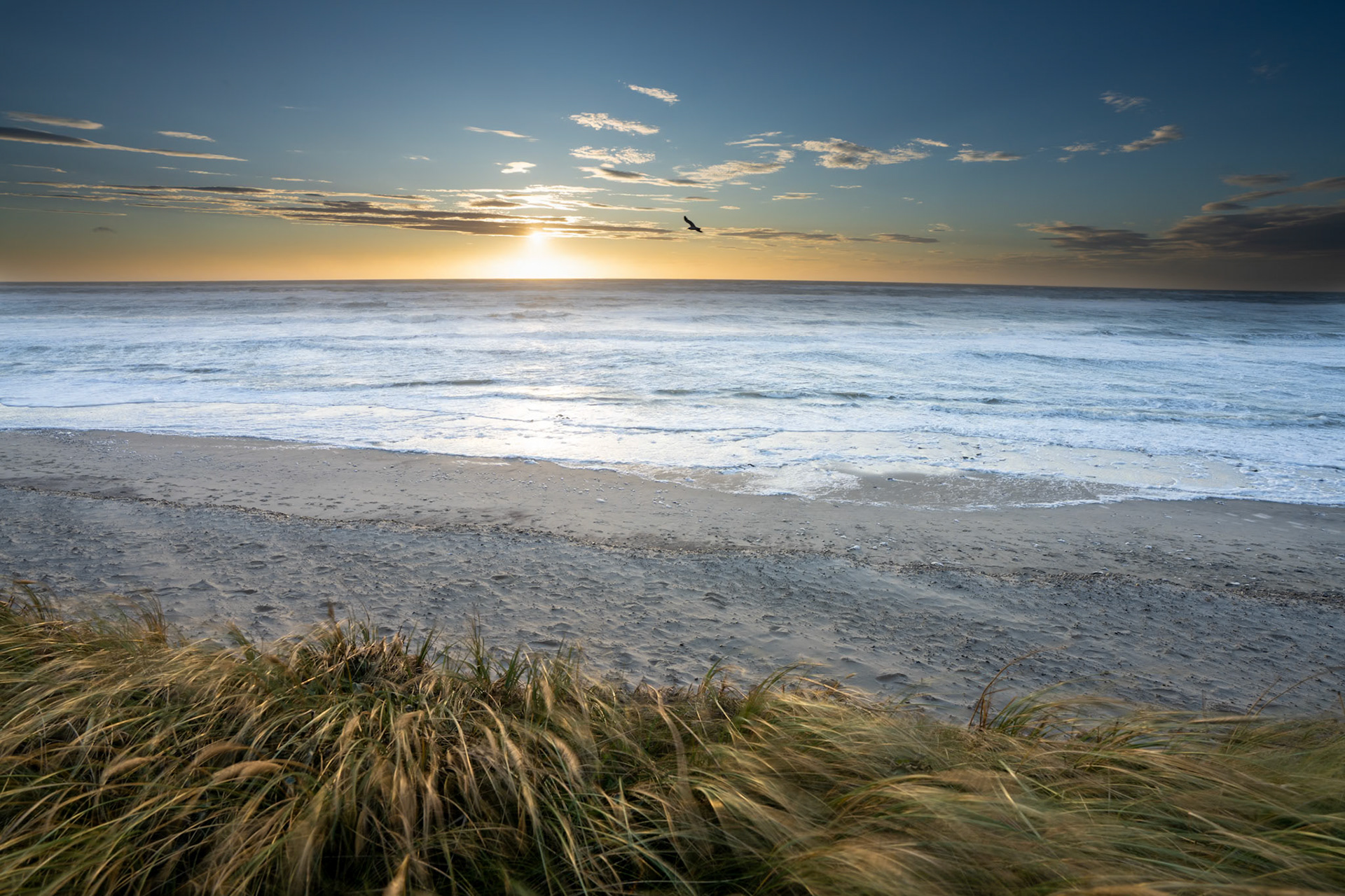 Jutland, Denmark - 2023