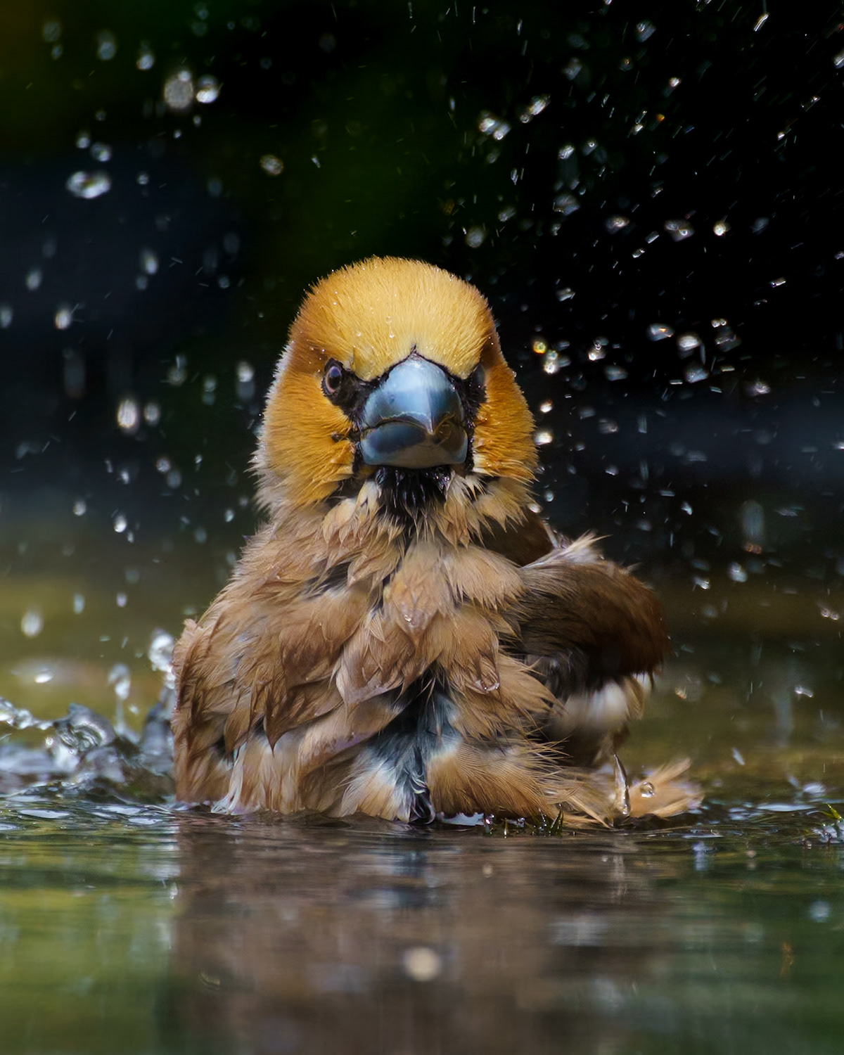 Lemelerberg, The Netherlands - 2023