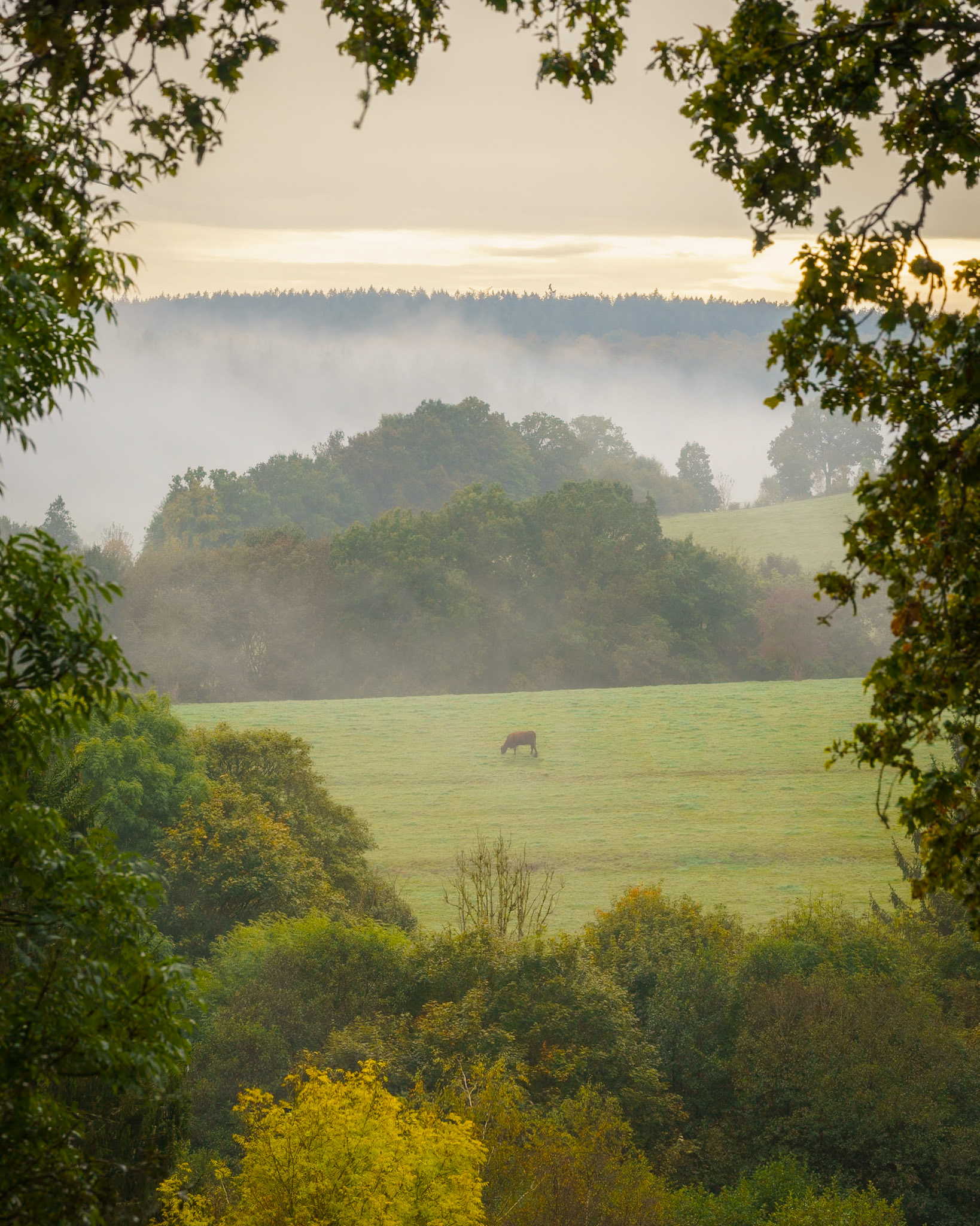 Basse-Bodeux,  Ardennes - Belgium