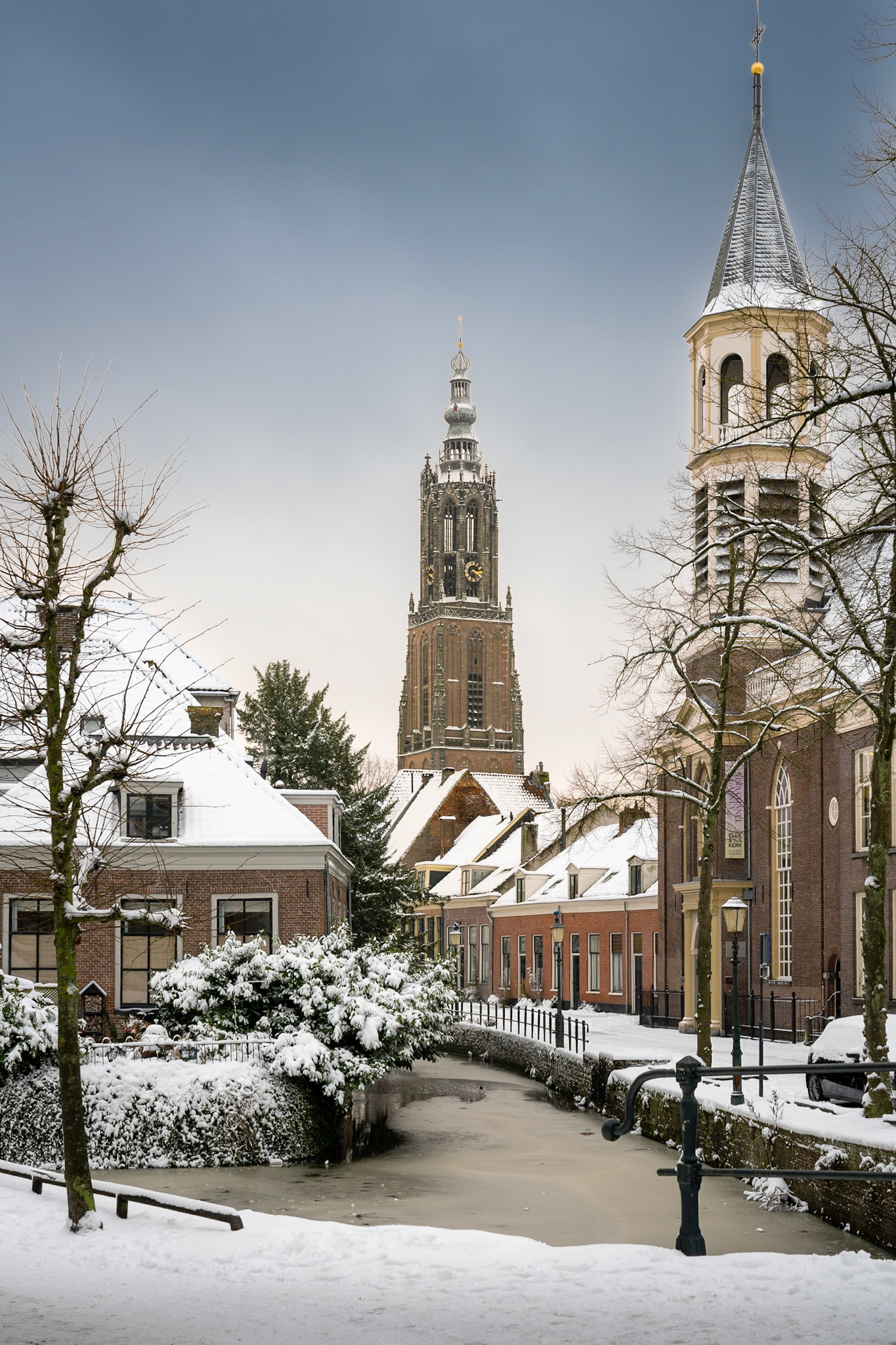 lieve