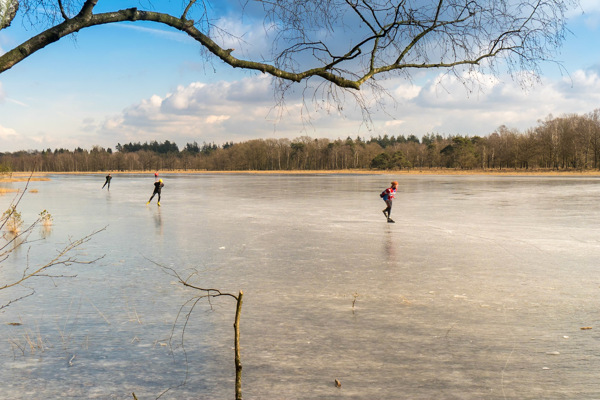 Leersumse Veld ice skating