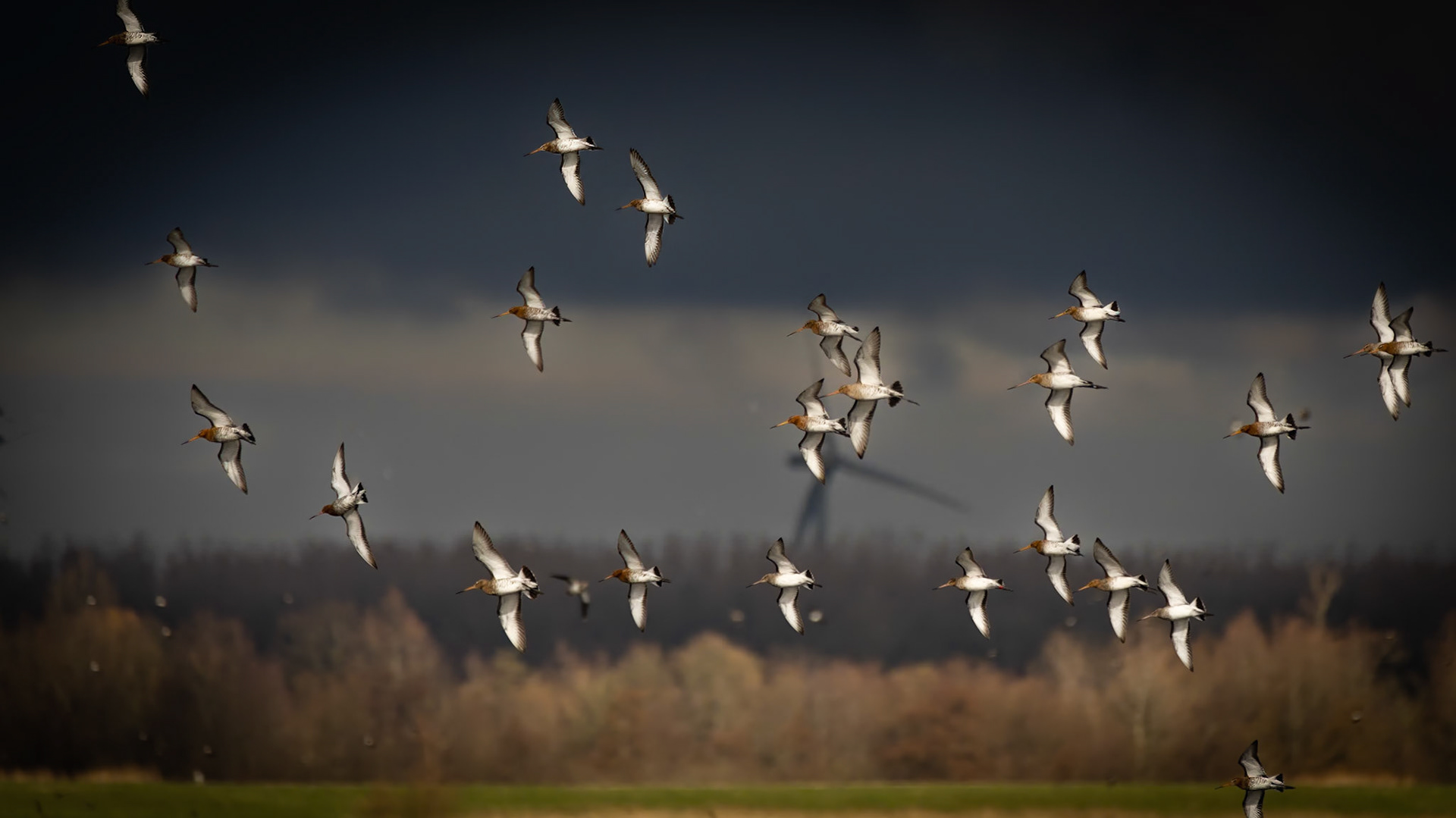 Polder Arkemheen, The Netherlands - 2023.