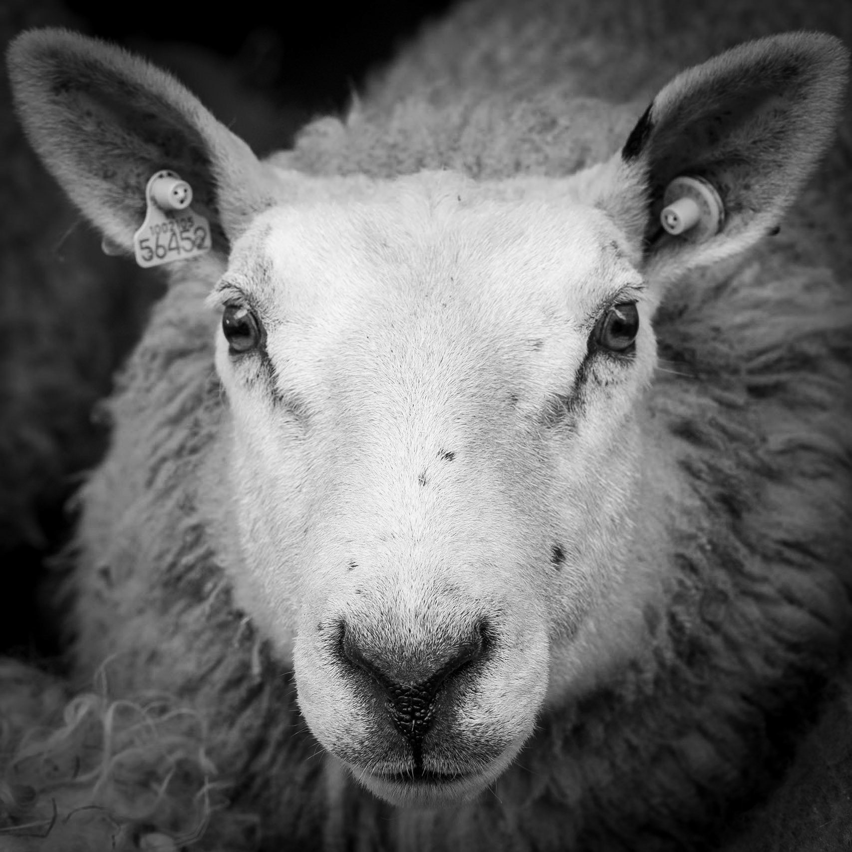 Texel, The Netherlands - 2022