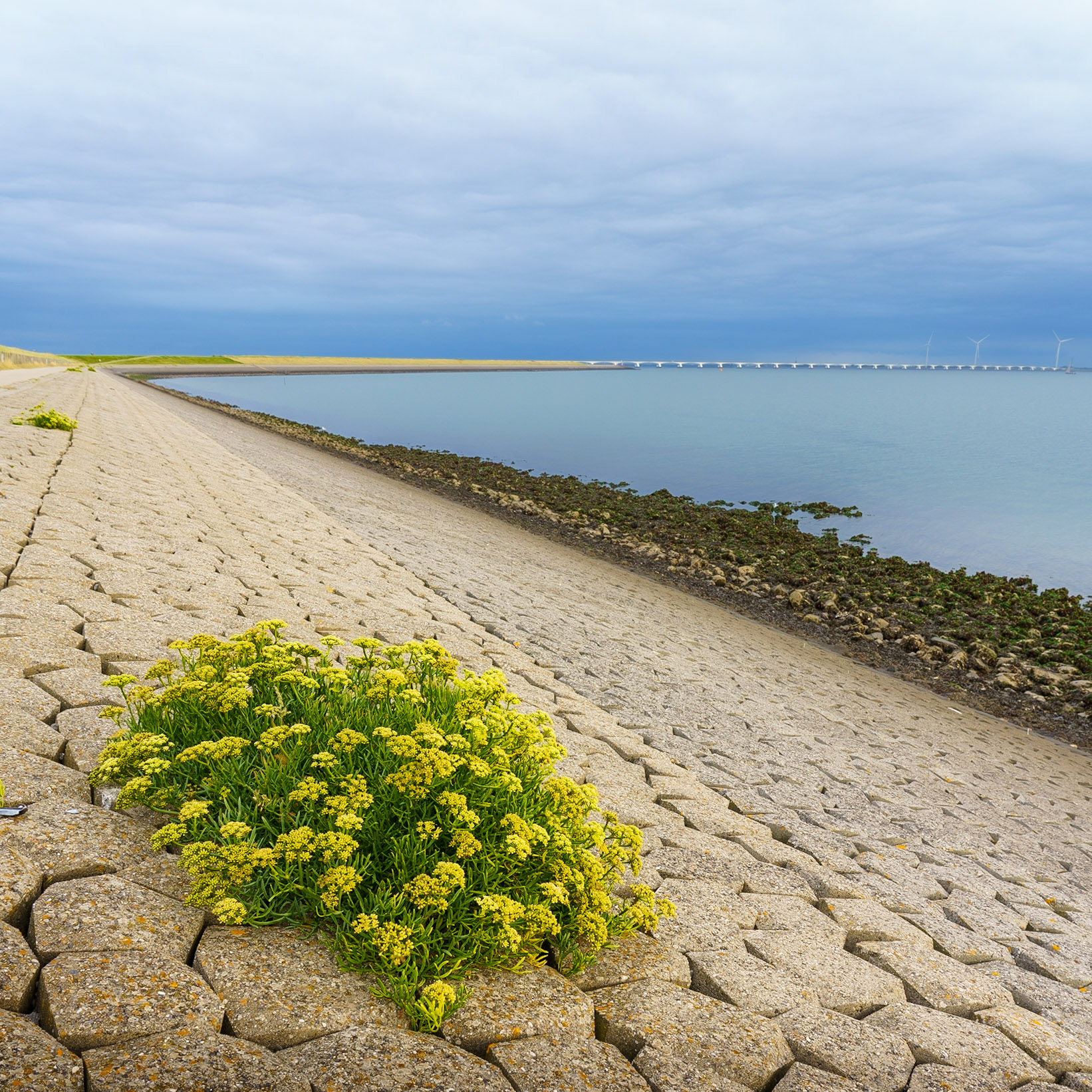 Zierikzee - Schouwen Duiveland
