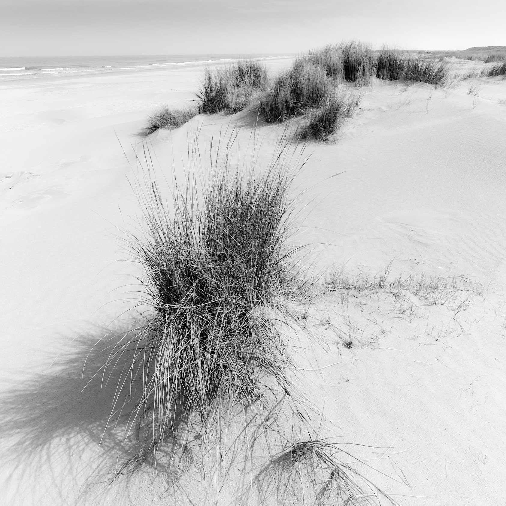 Schiermonikoog, The Netherlands - 2023