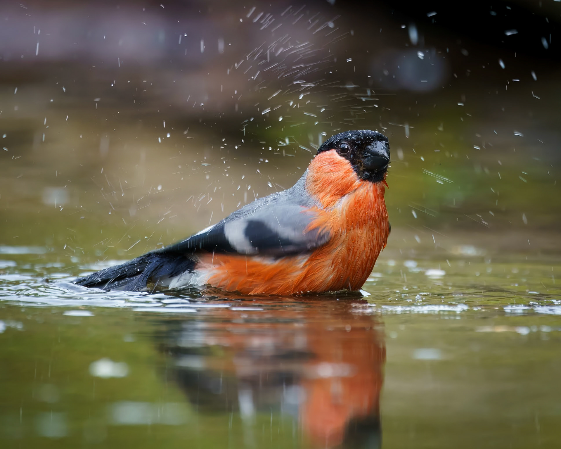 Lemelerberg, The Netherlands - 2023