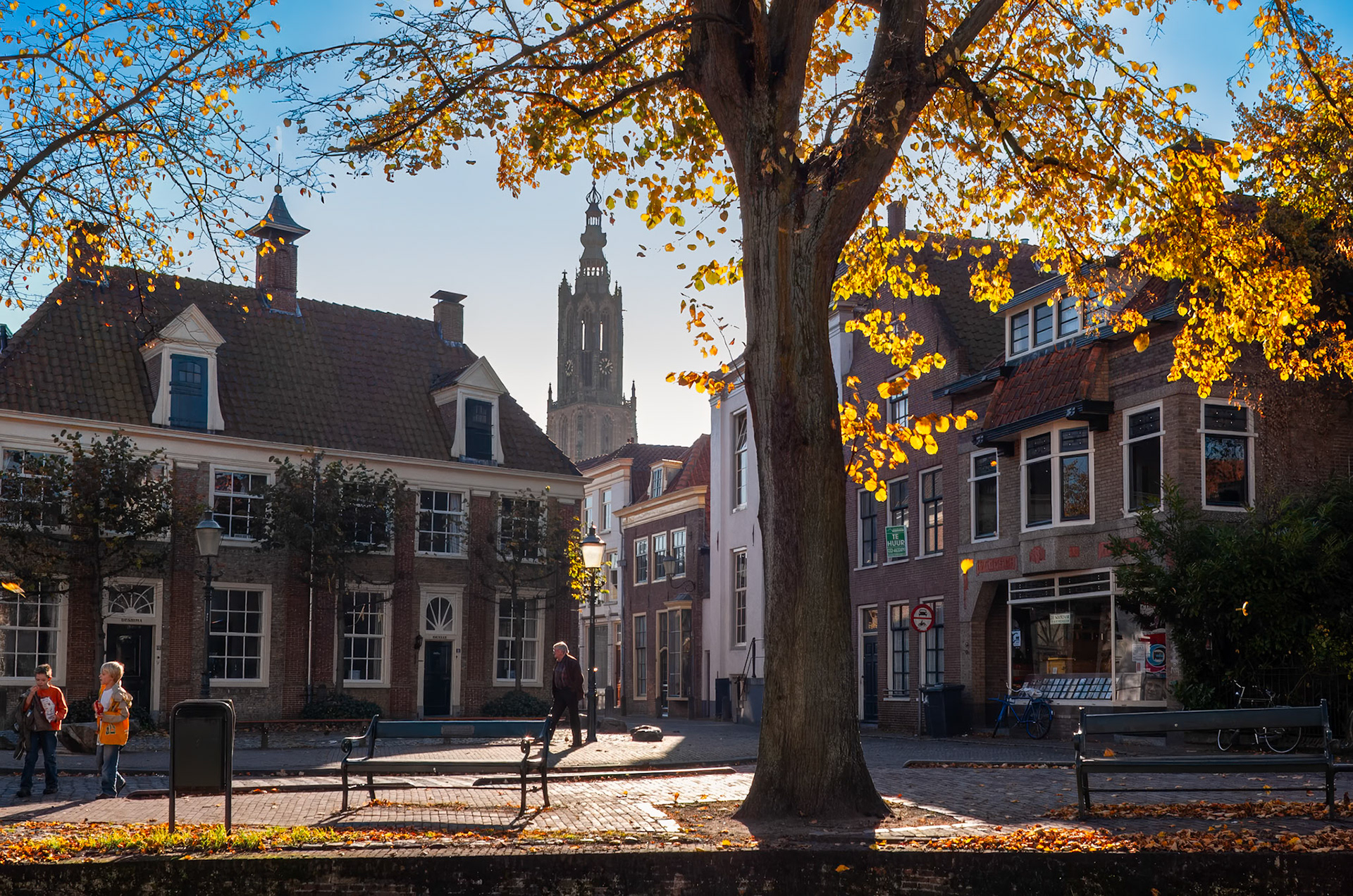 Havik, Amersfoort