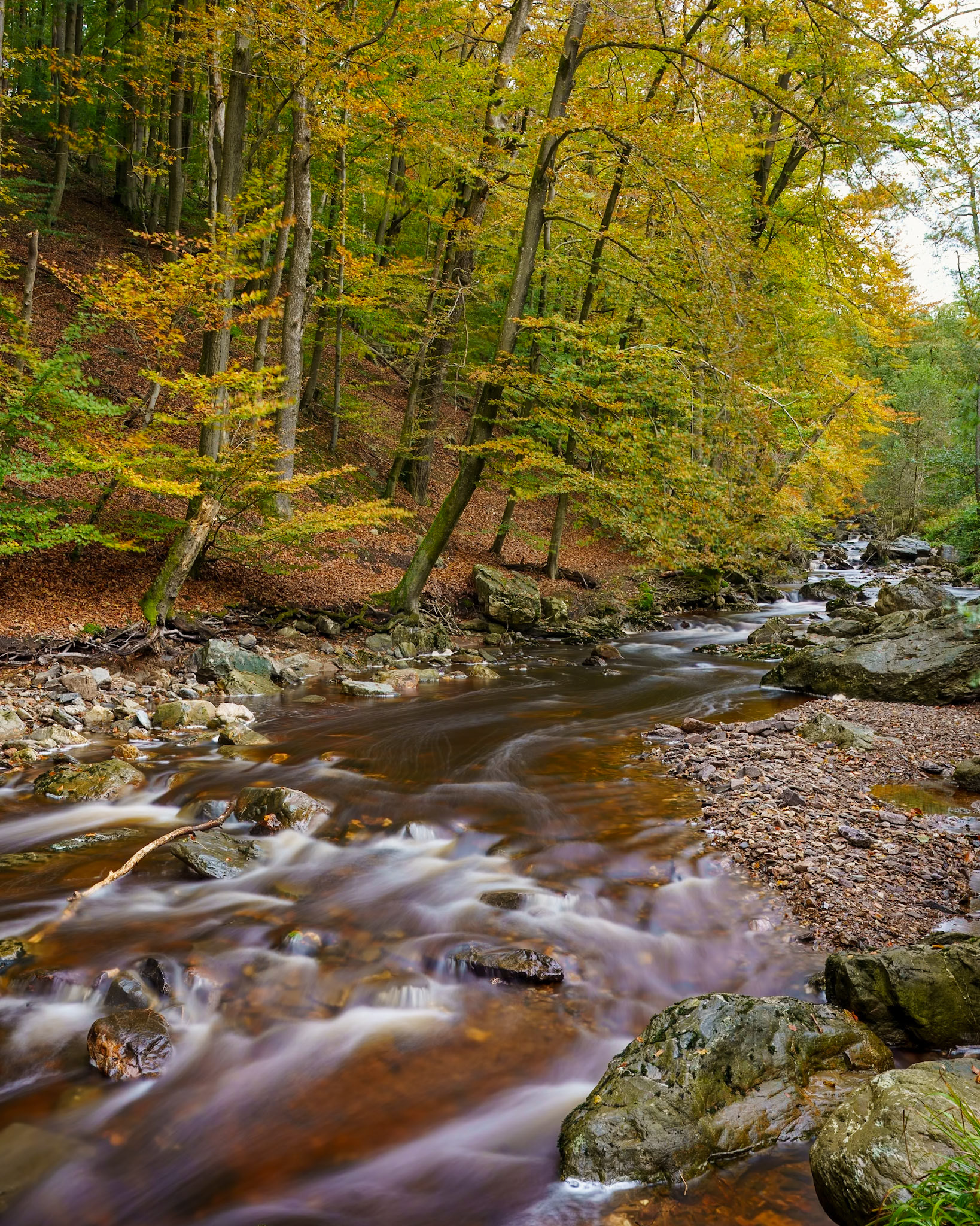 Vallée de la Hoëgne
