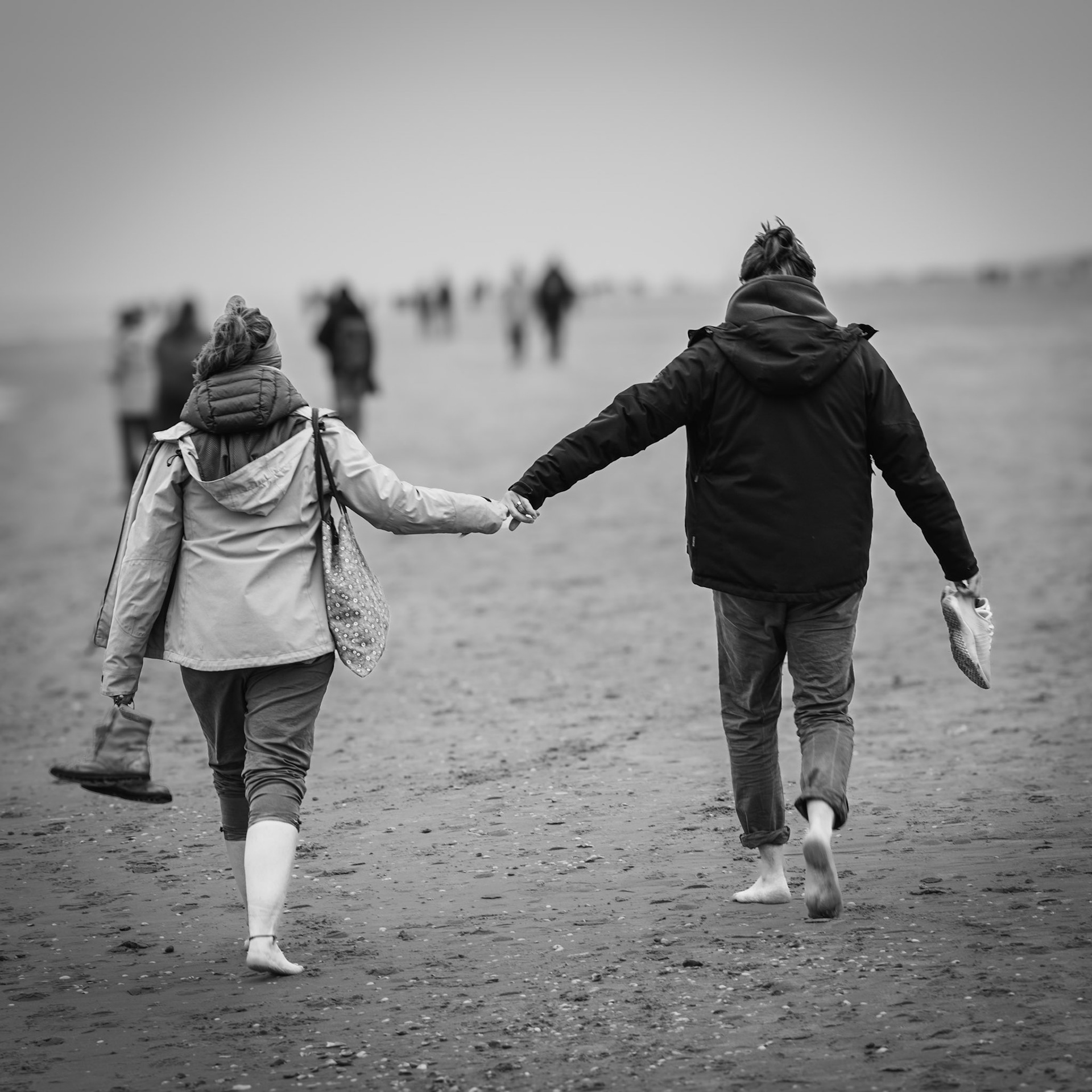 Bergen aan zee 2024