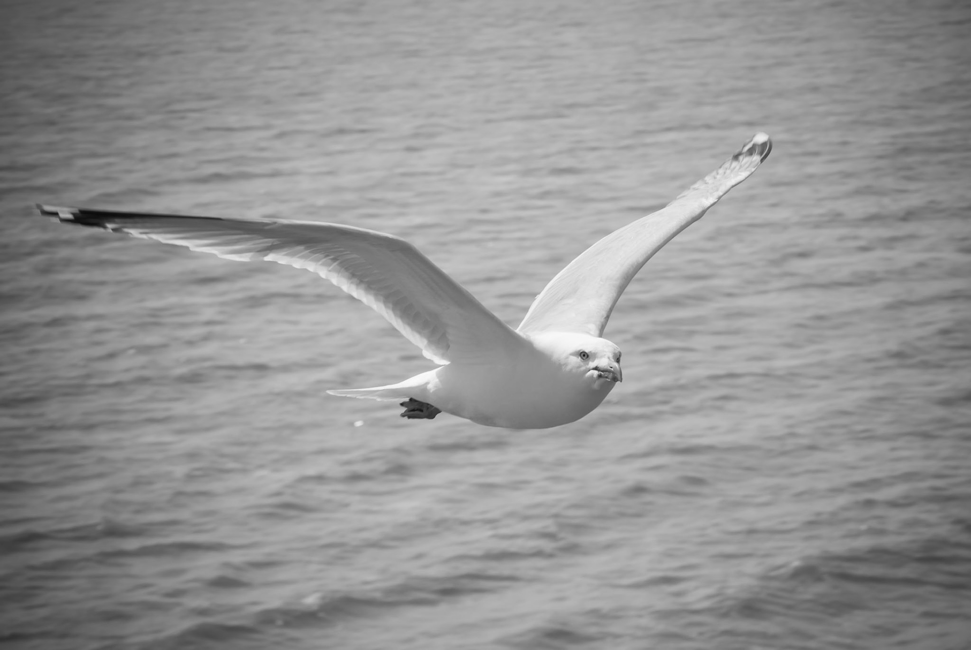 Ameland