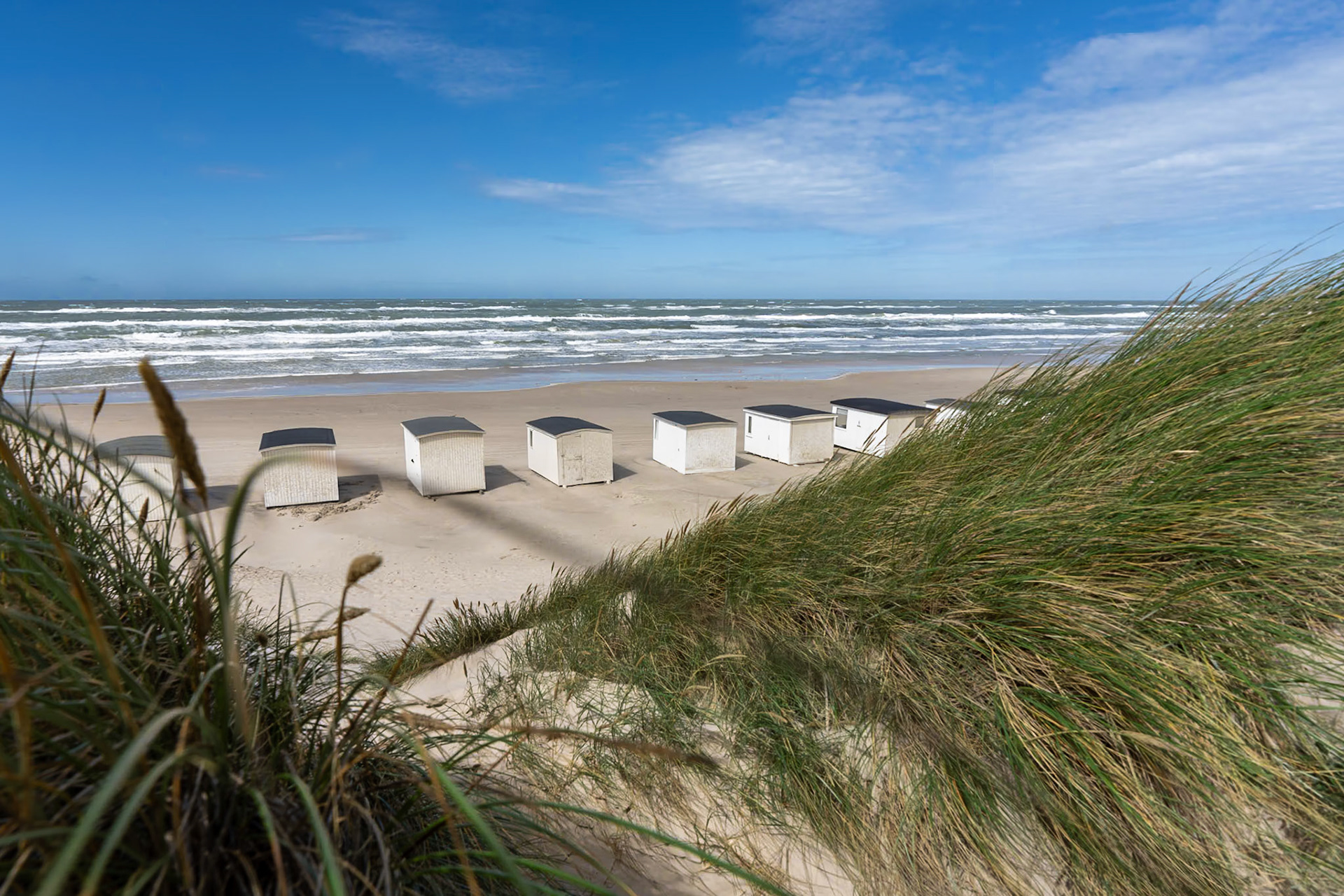 Jutland, Denmark - 2023