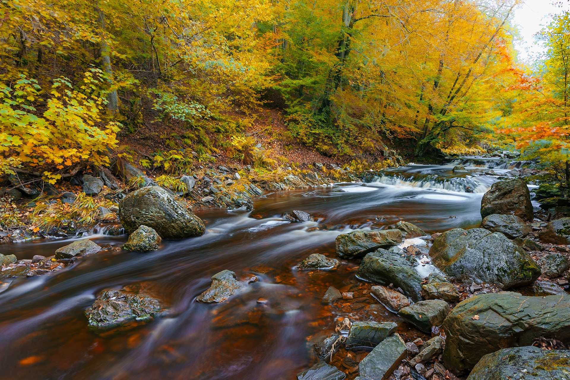 Vallée de la Hoëgne