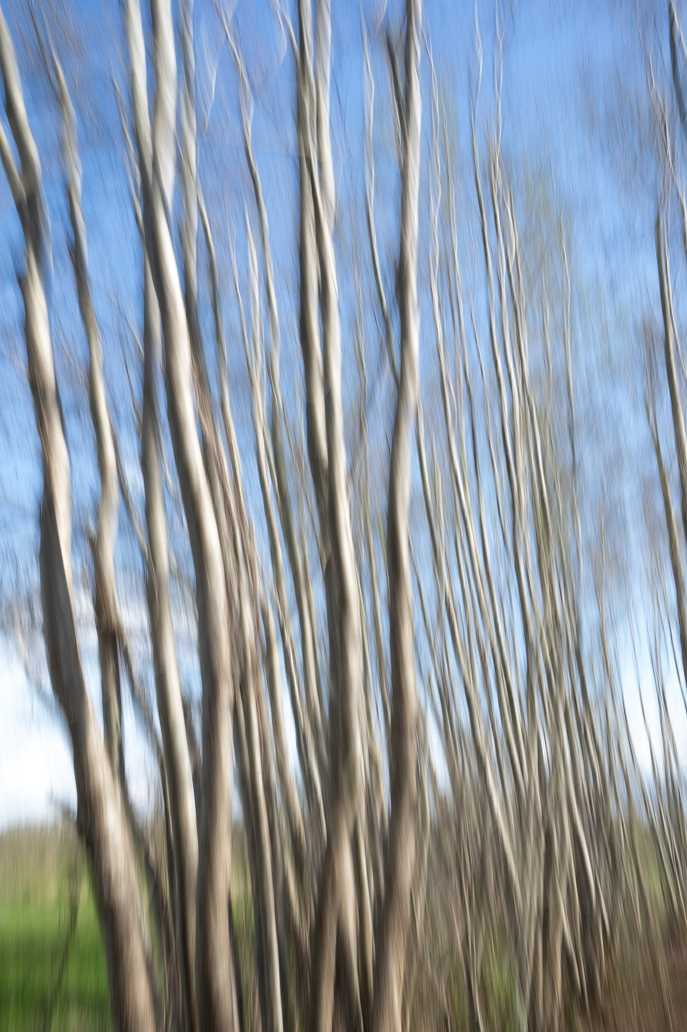 Leersum, The Netherlands - 2023.