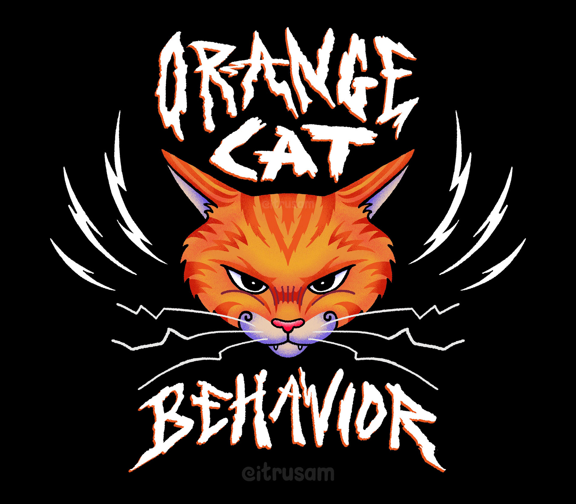 orange cat behavior